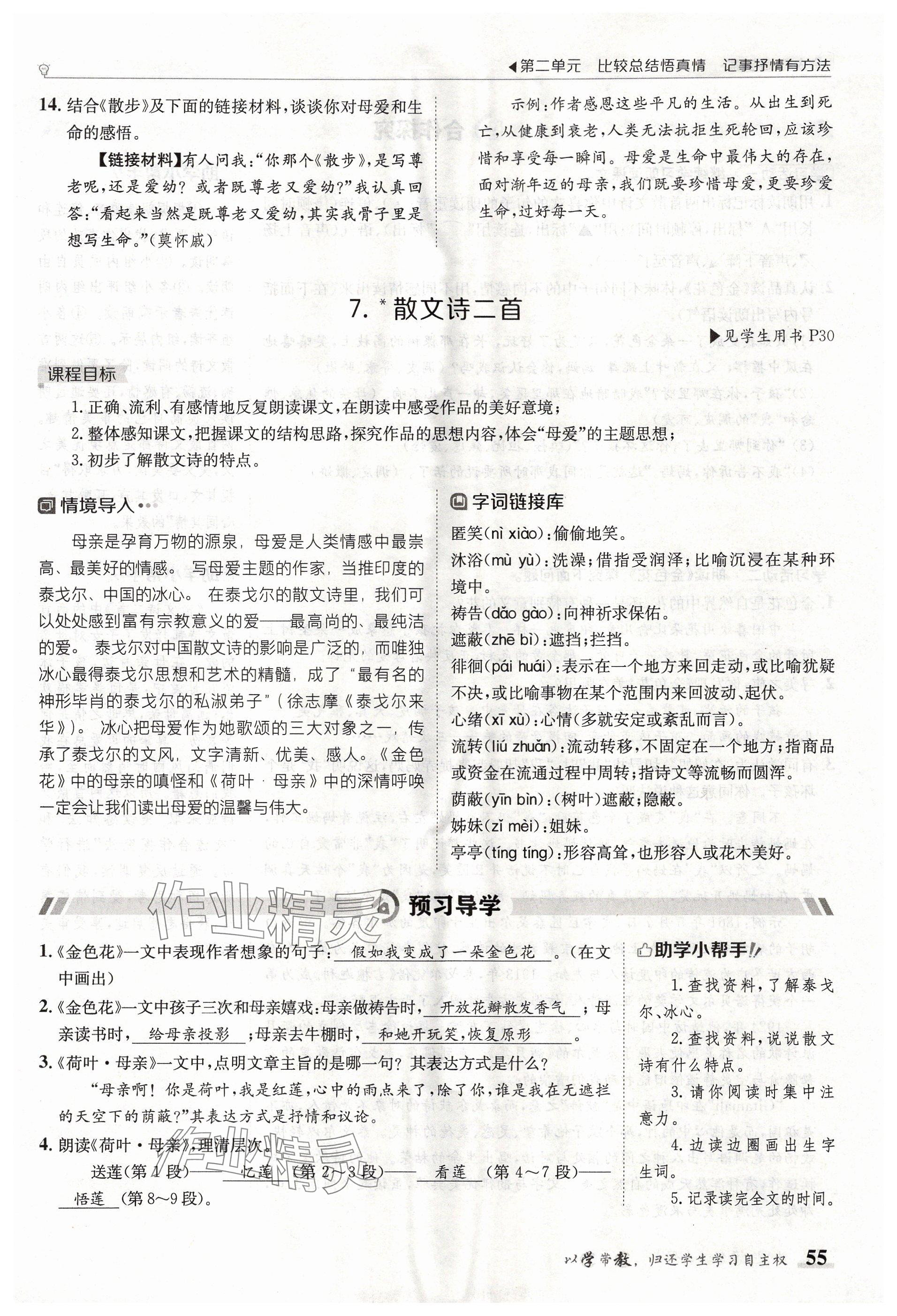 2024年金太陽導學案七年級語文上冊人教版 參考答案第55頁