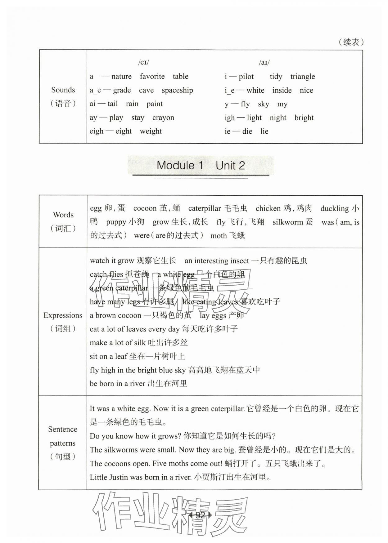 2024年华东师大版一课一练五年级英语下册沪教版 参考答案第2页