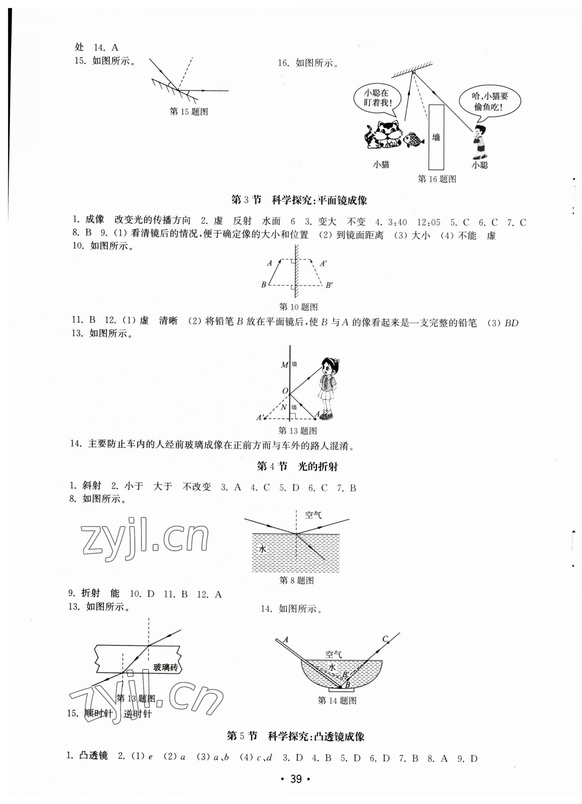 2023年初中基础训练山东教育出版社八年级物理上册教科版 第3页