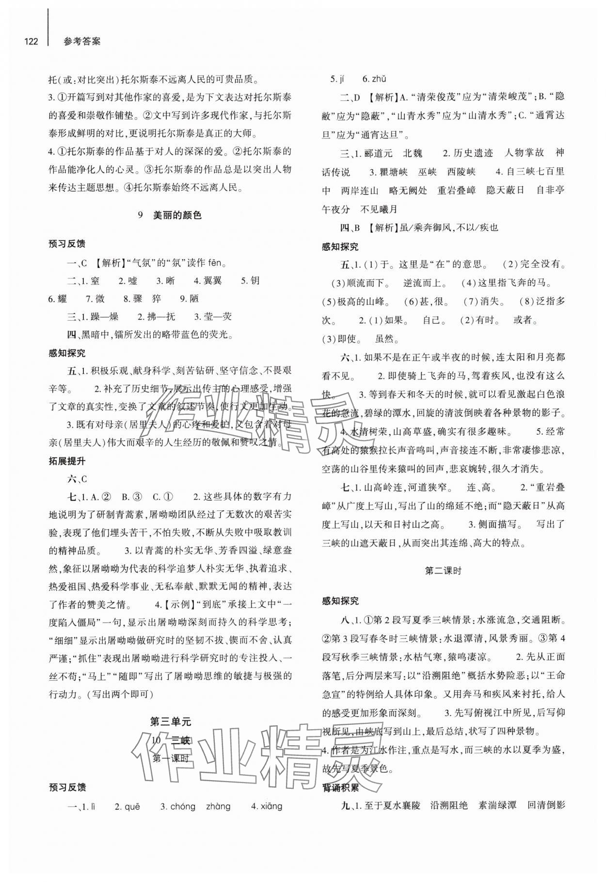 2024年同步練習(xí)冊大象出版社八年級語文上冊人教版 第6頁