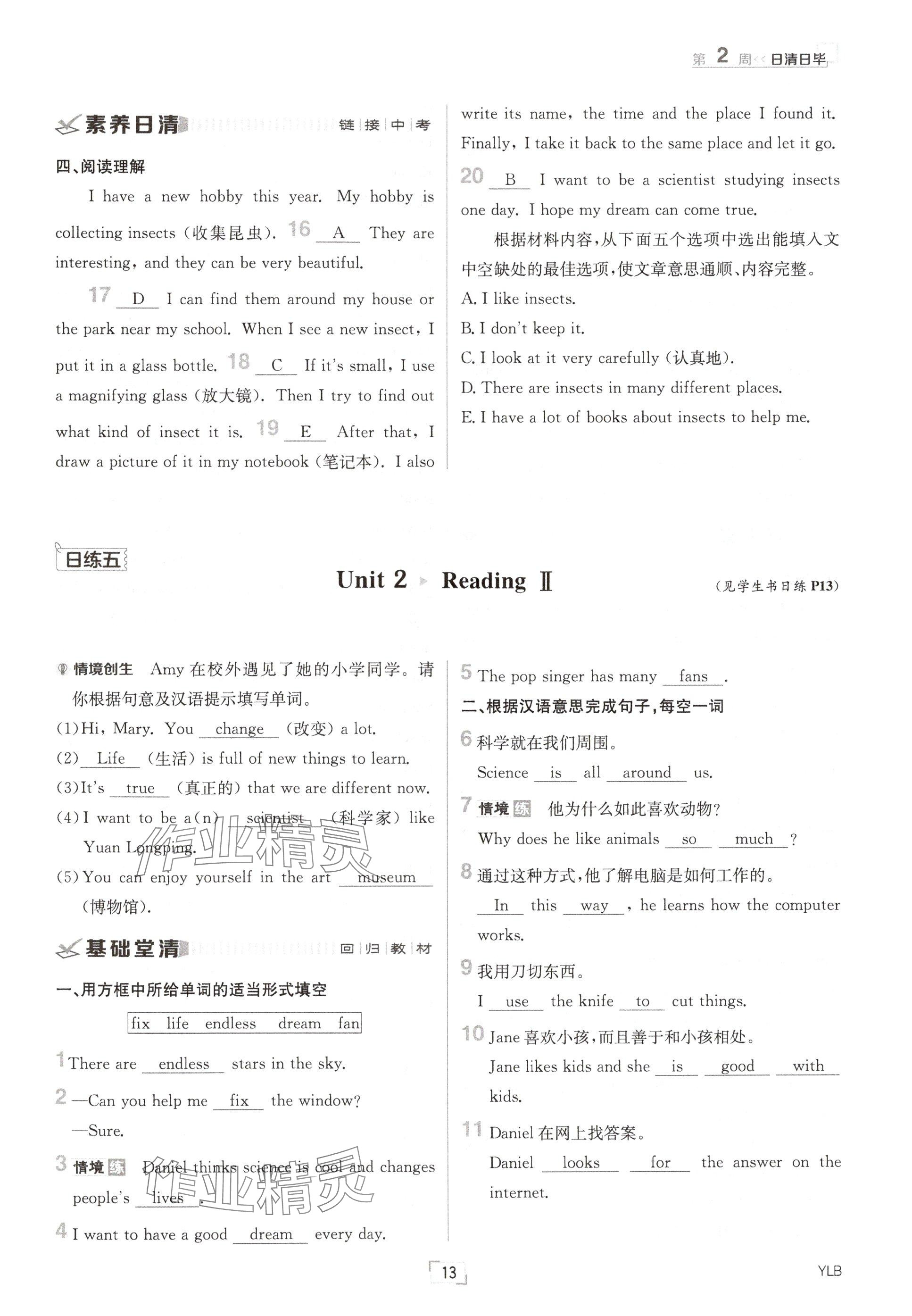 2024年日清周練七年級英語上冊譯林版 參考答案第13頁