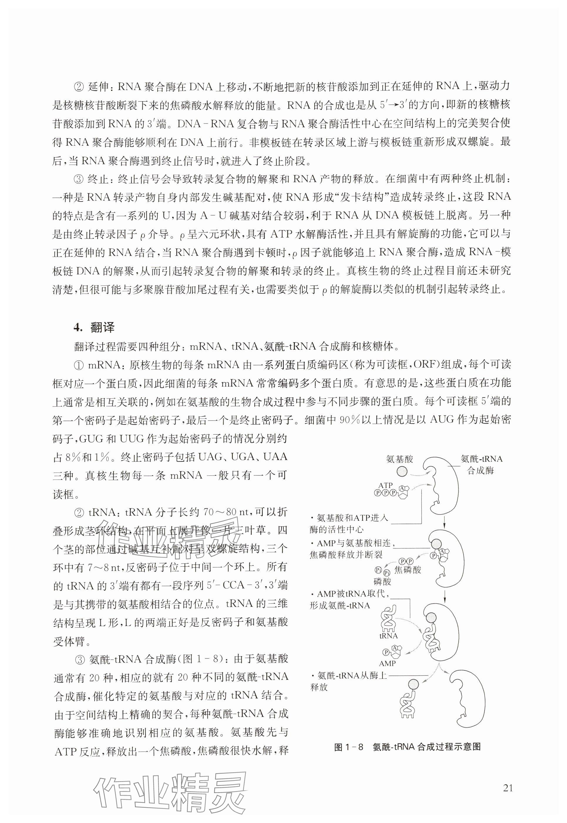 2024年教材课本高中生物必修2沪教版 参考答案第21页