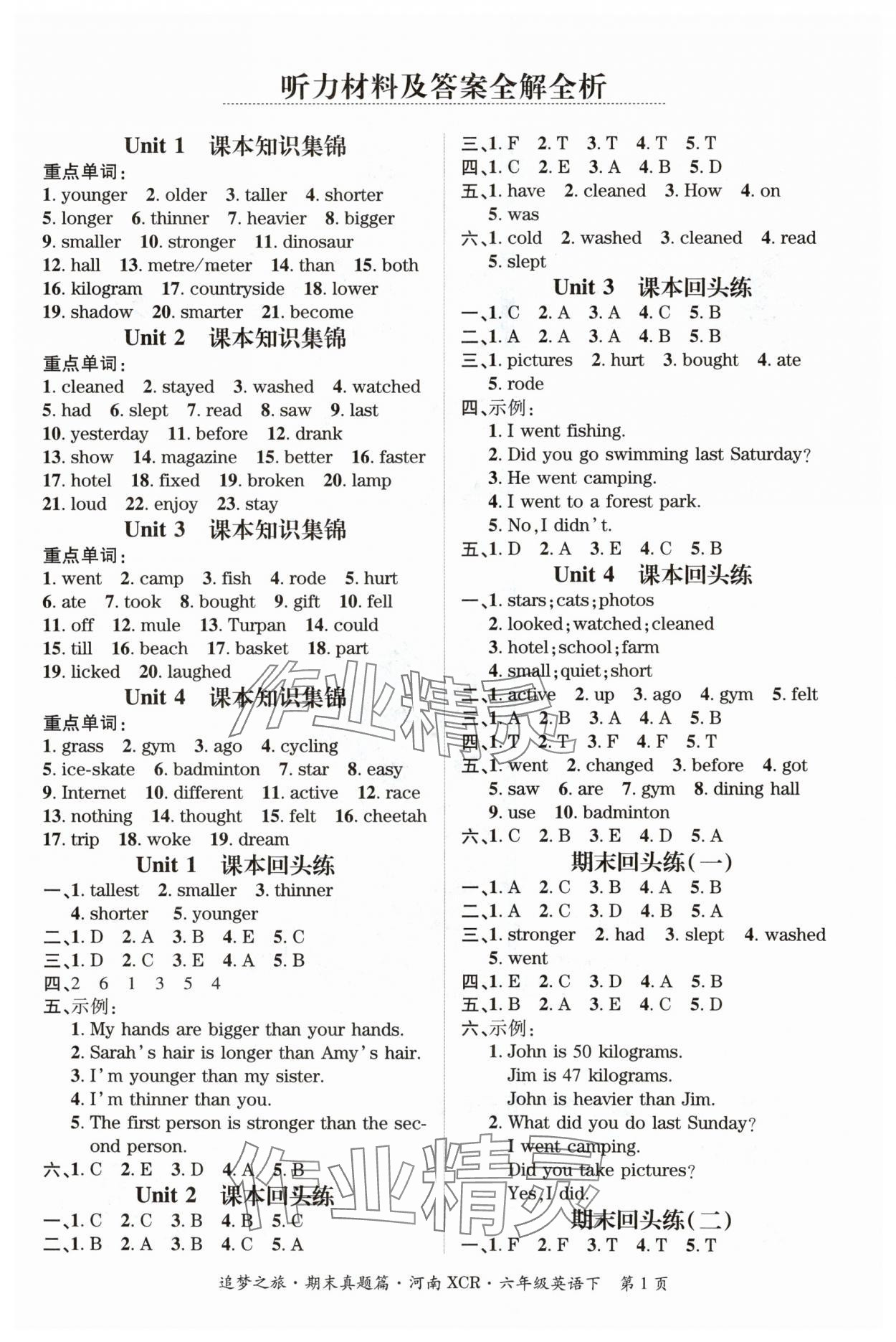 2024年追夢(mèng)之旅小學(xué)期末真題篇六年級(jí)英語(yǔ)下冊(cè)人教版河南專版 參考答案第1頁(yè)