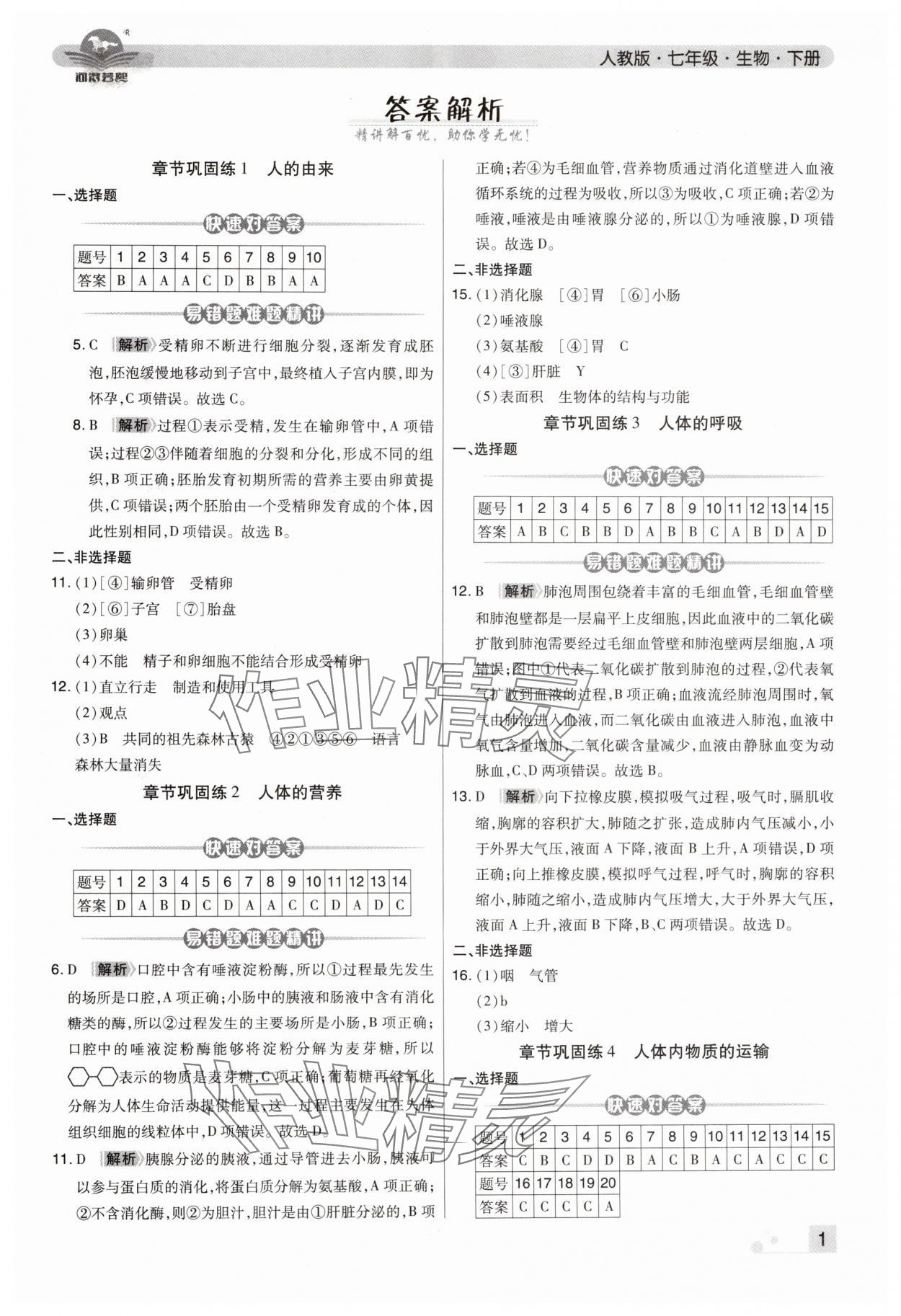 2024年期末考试必刷卷七年级生物下册人教版河南专版 第1页