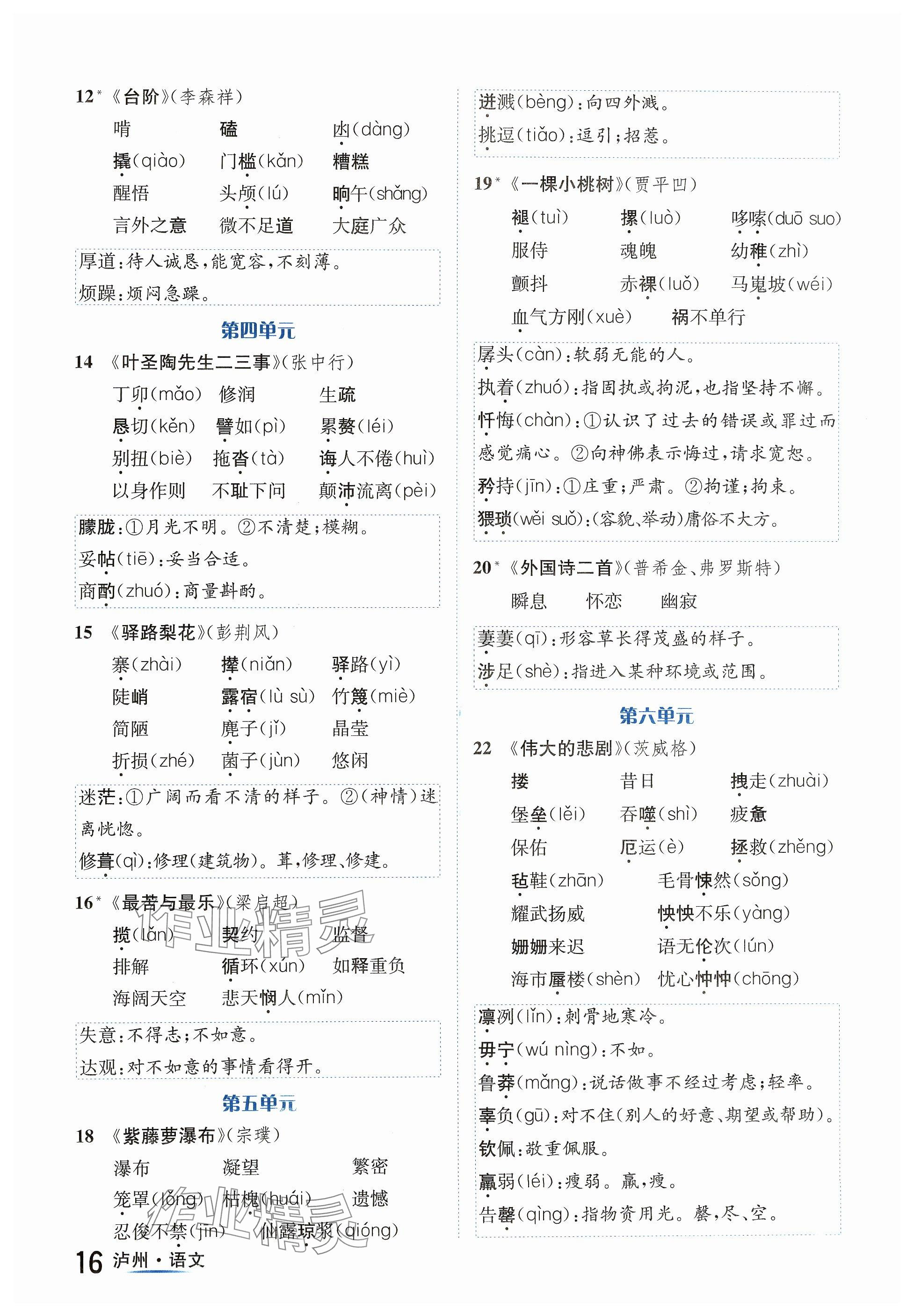 2024年国华考试中考总动员语文泸州专版 参考答案第16页