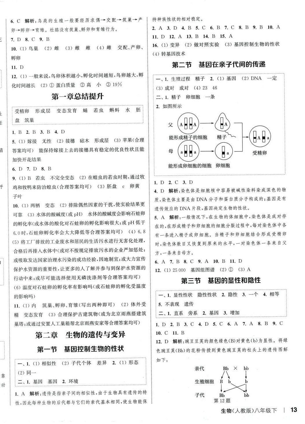 2024年通城學(xué)典課時(shí)作業(yè)本八年級生物下冊人教版 參考答案第2頁