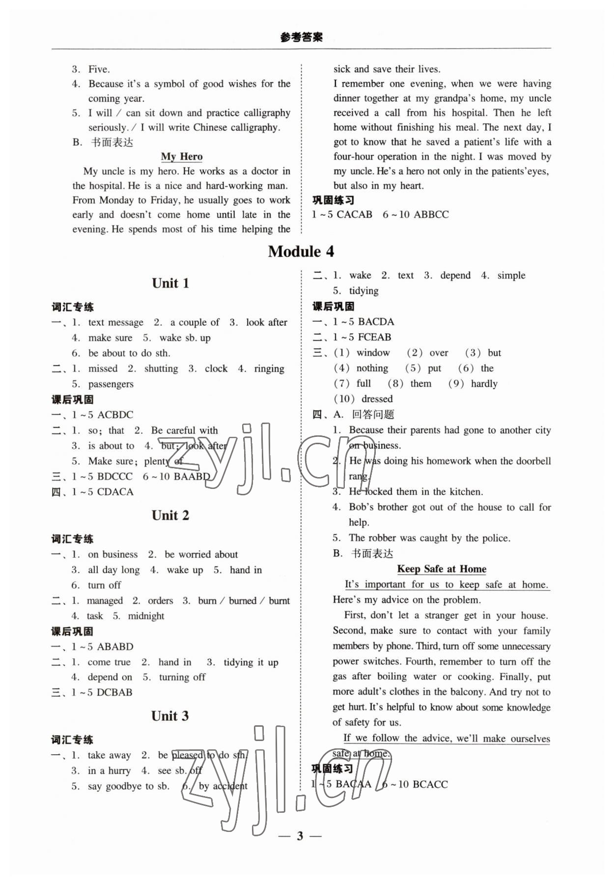 2023年南粵學(xué)典學(xué)考精練九年級(jí)英語(yǔ)全一冊(cè)外研版 第3頁(yè)