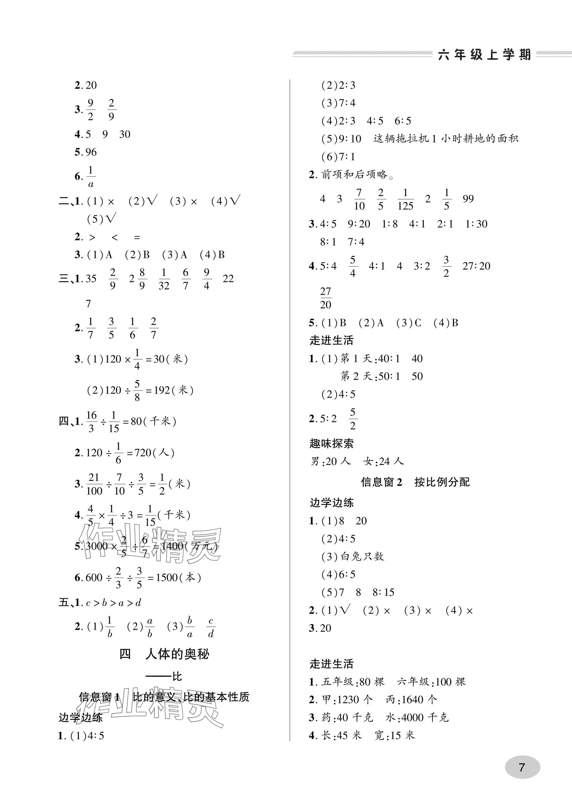 2024年精練課堂分層作業(yè)六年級數(shù)學上冊人教版 參考答案第7頁