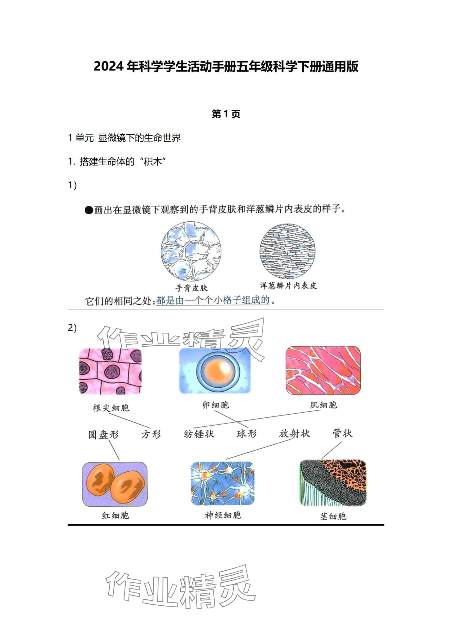 2024年學(xué)生活動手冊江蘇鳳凰教育出版社五年級科學(xué)下冊通用版 第1頁