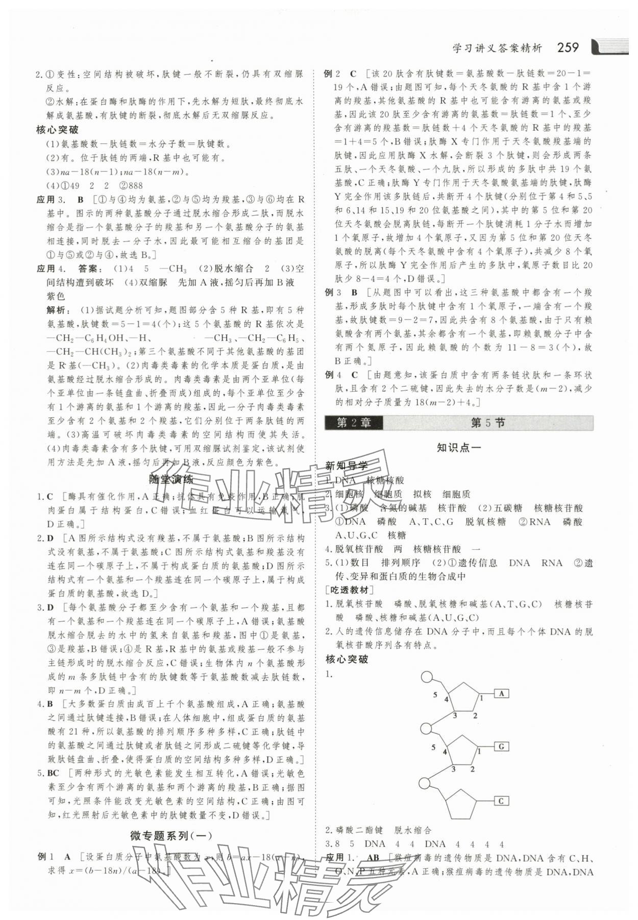 2023年金版新学案高中生物必修1人教版 参考答案第6页