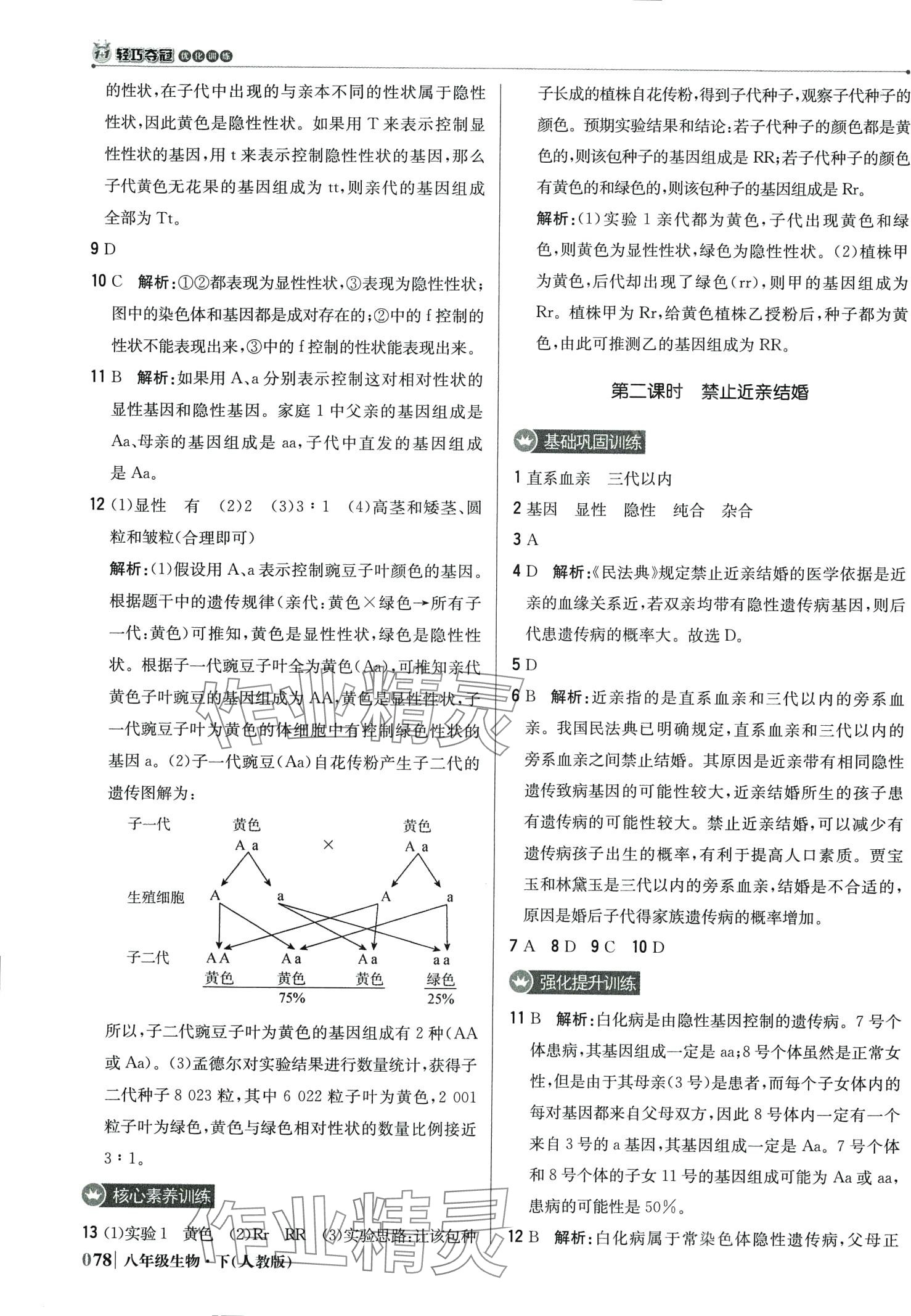 2024年1加1轻巧夺冠优化训练八年级生物下册人教版 第7页