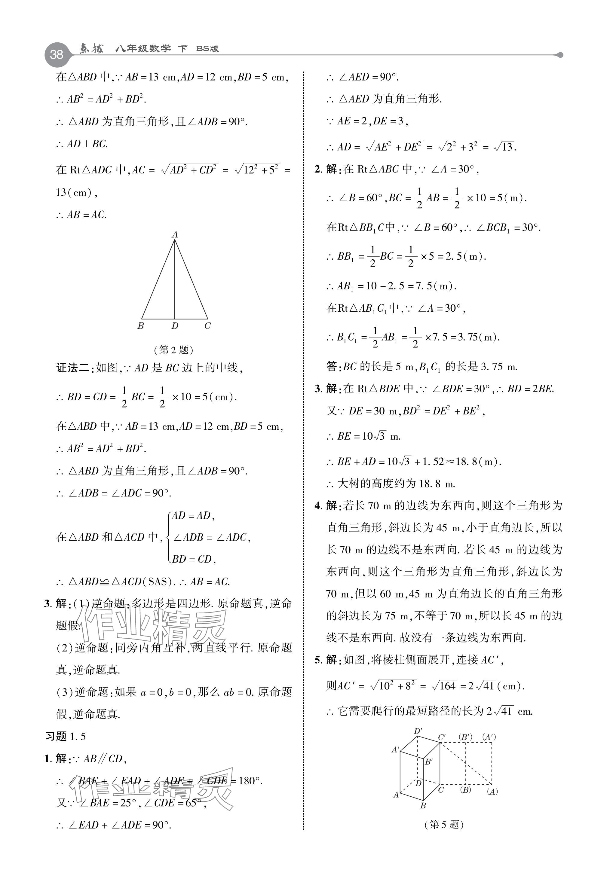 2024年教材課本八年級數(shù)學下冊北師大版 參考答案第5頁