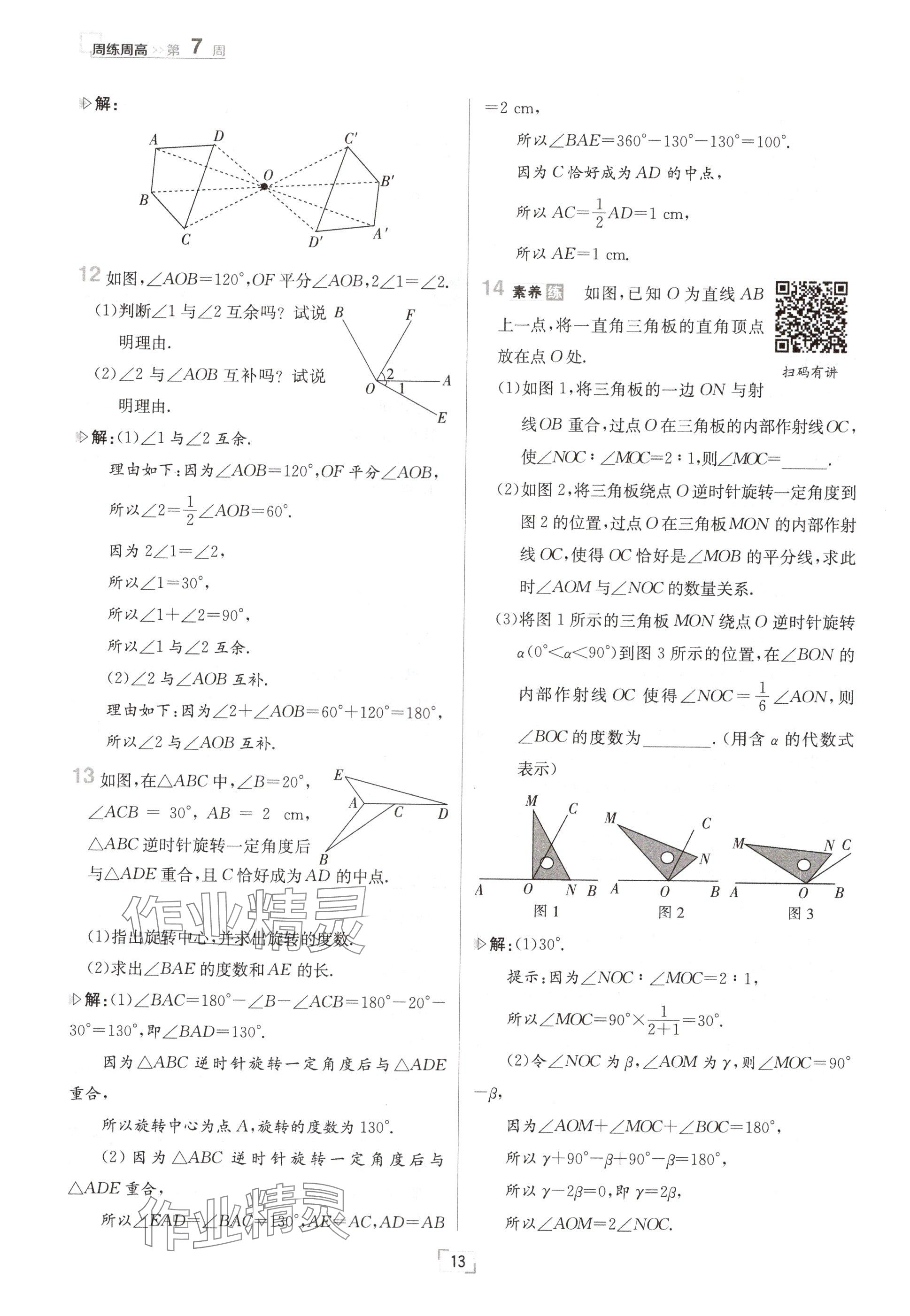 2024年日清周練七年級數(shù)學(xué)上冊冀教版 參考答案第13頁