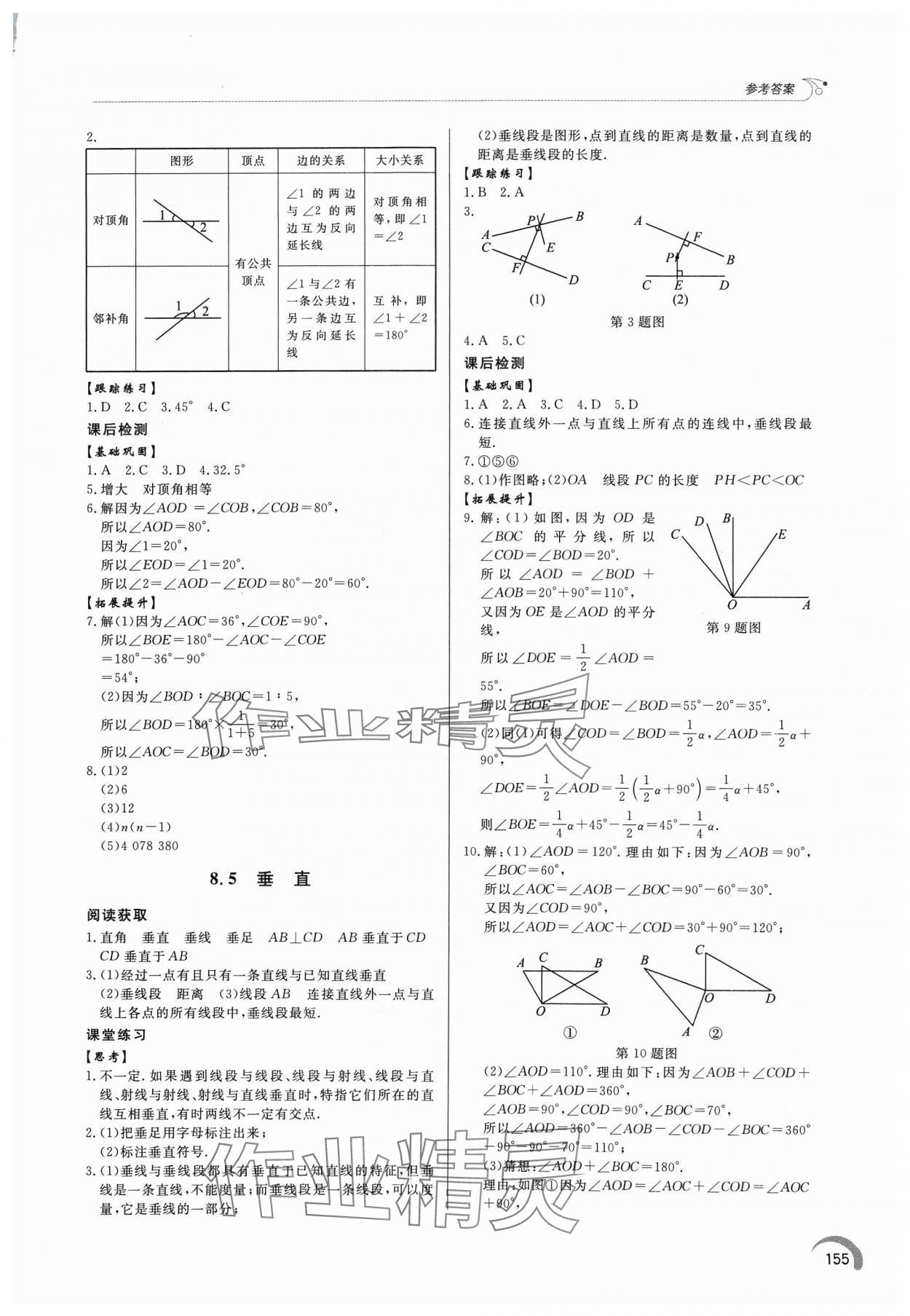 2024年同步练习册泰山出版社七年级数学下册青岛版 第3页