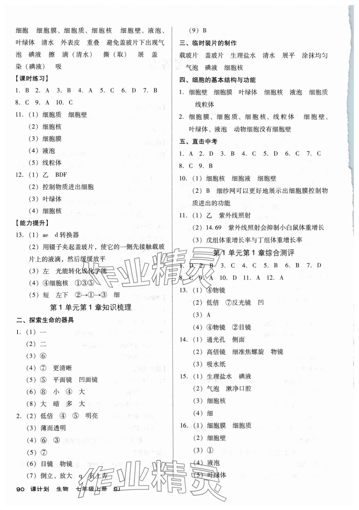 2024年全優(yōu)點練課計劃七年級生物上冊蘇教版 第2頁