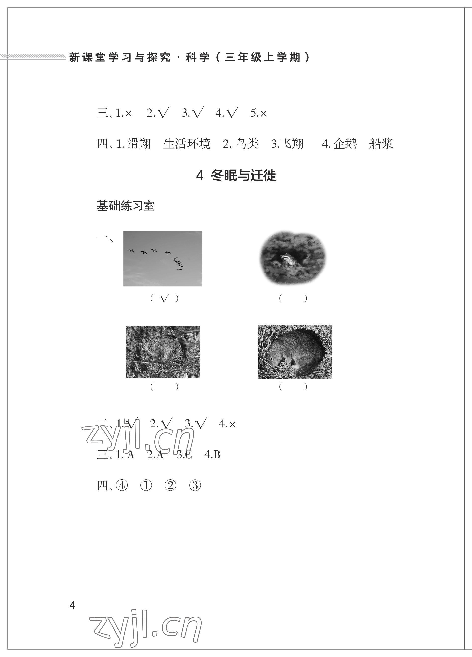 2023年新课堂学习与探究三年级科学上册青岛版 参考答案第4页