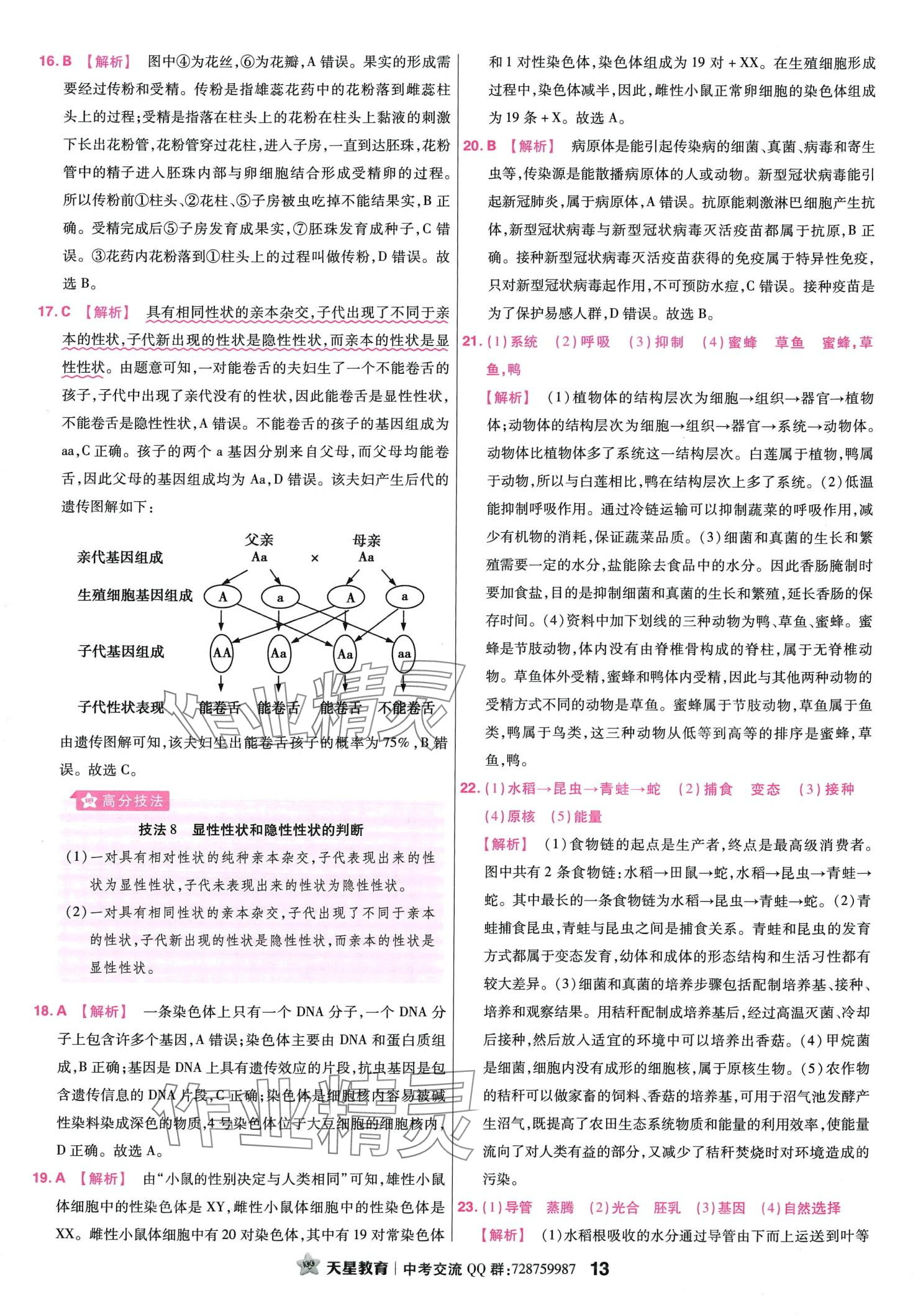 2024年金考卷45套匯編生物中考江西專版 第13頁