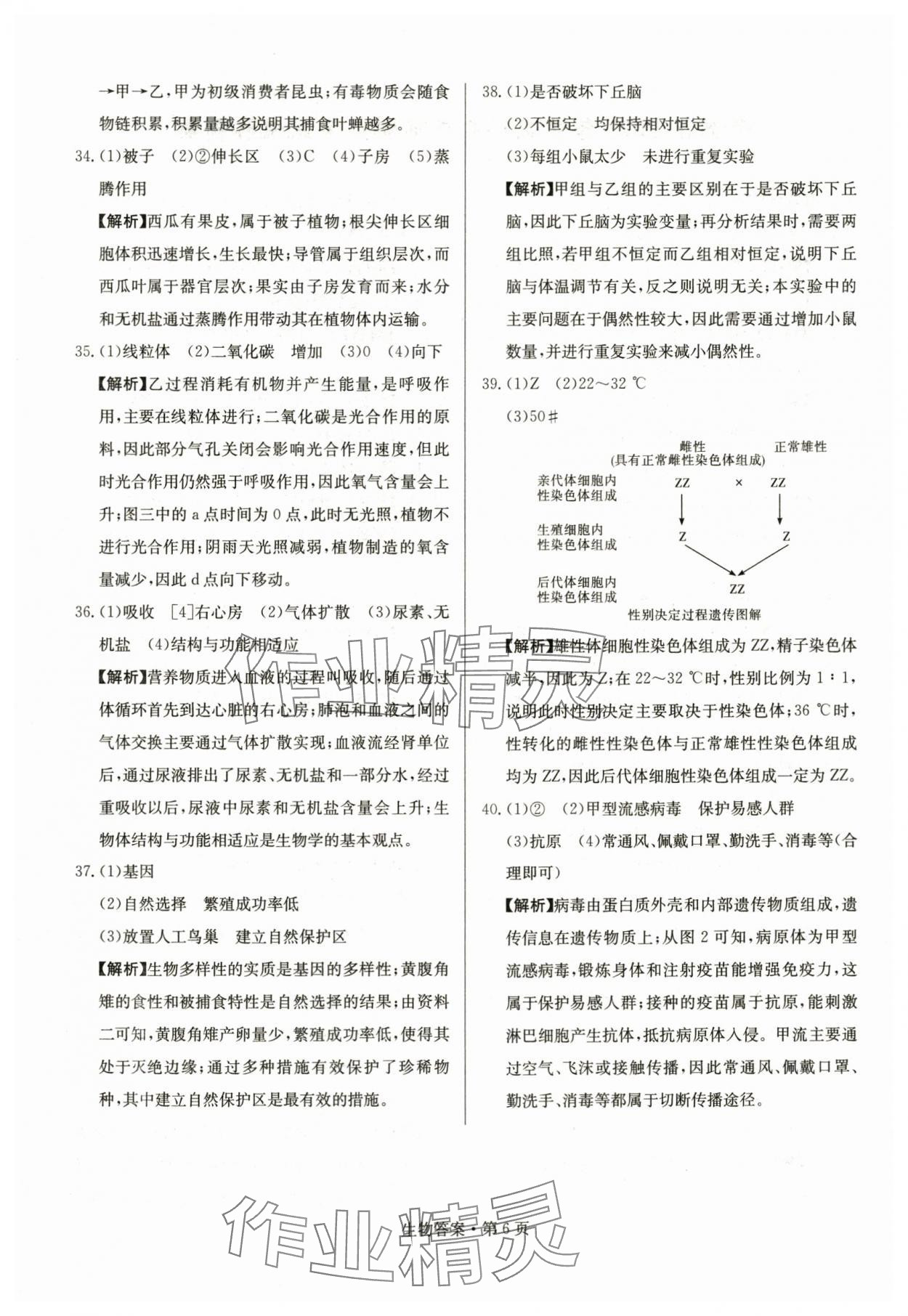 2024年湖南中考必備生物 參考答案第6頁