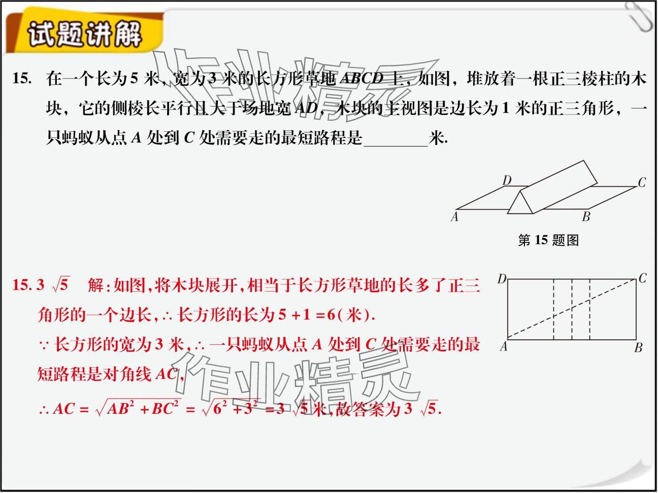 2024年复习直通车期末复习与假期作业八年级数学北师大版 参考答案第37页