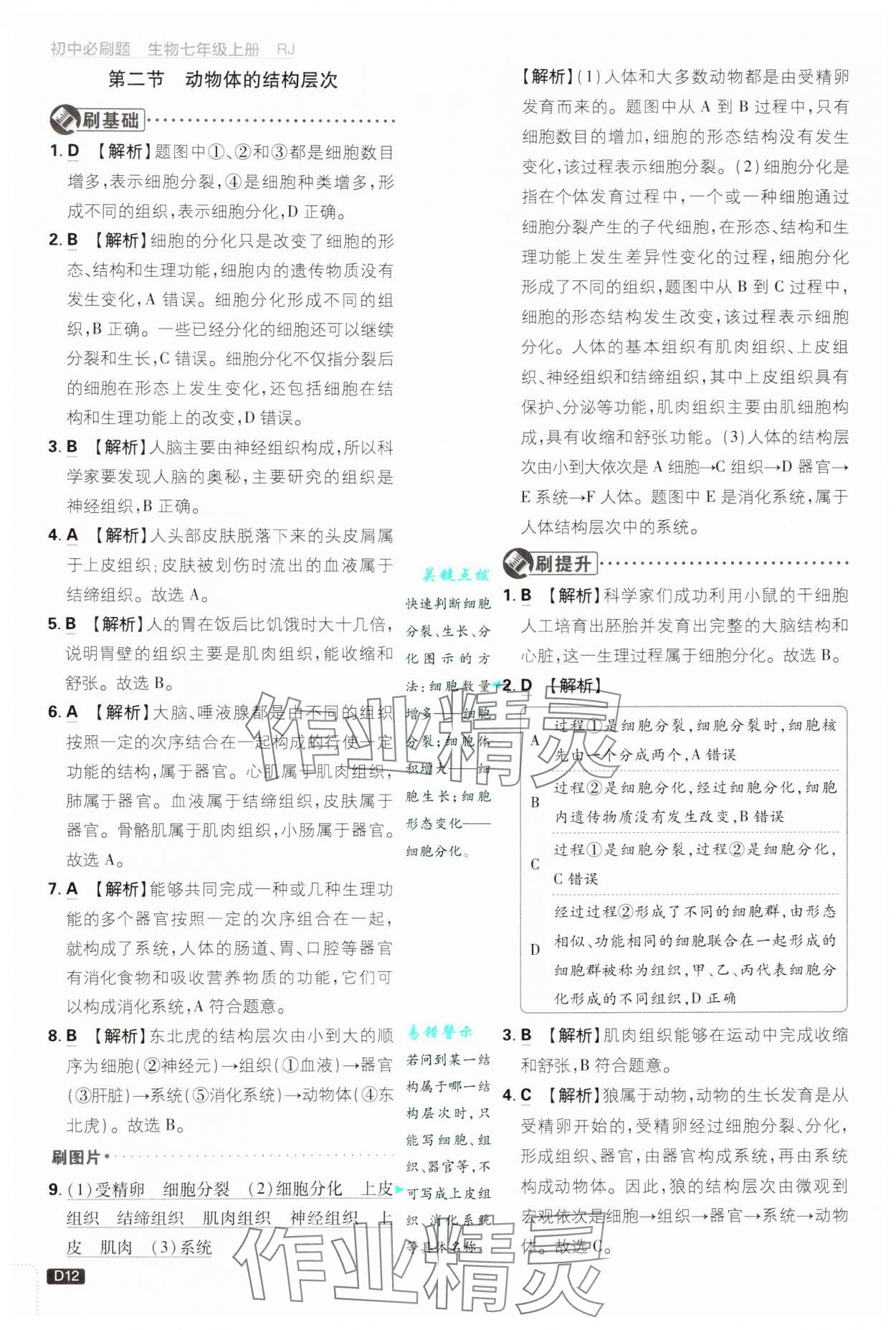 2024年初中必刷題七年級(jí)生物上冊(cè)人教版 第12頁(yè)