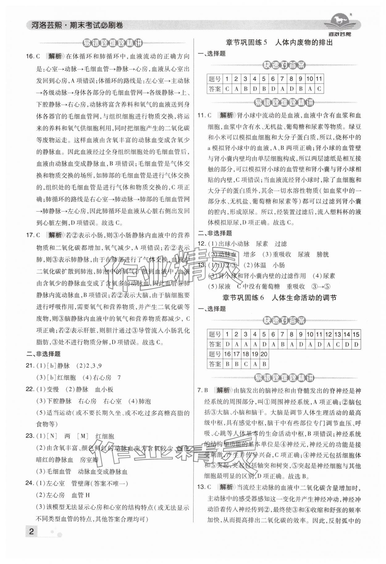 2024年期末考试必刷卷七年级生物下册人教版河南专版 第2页