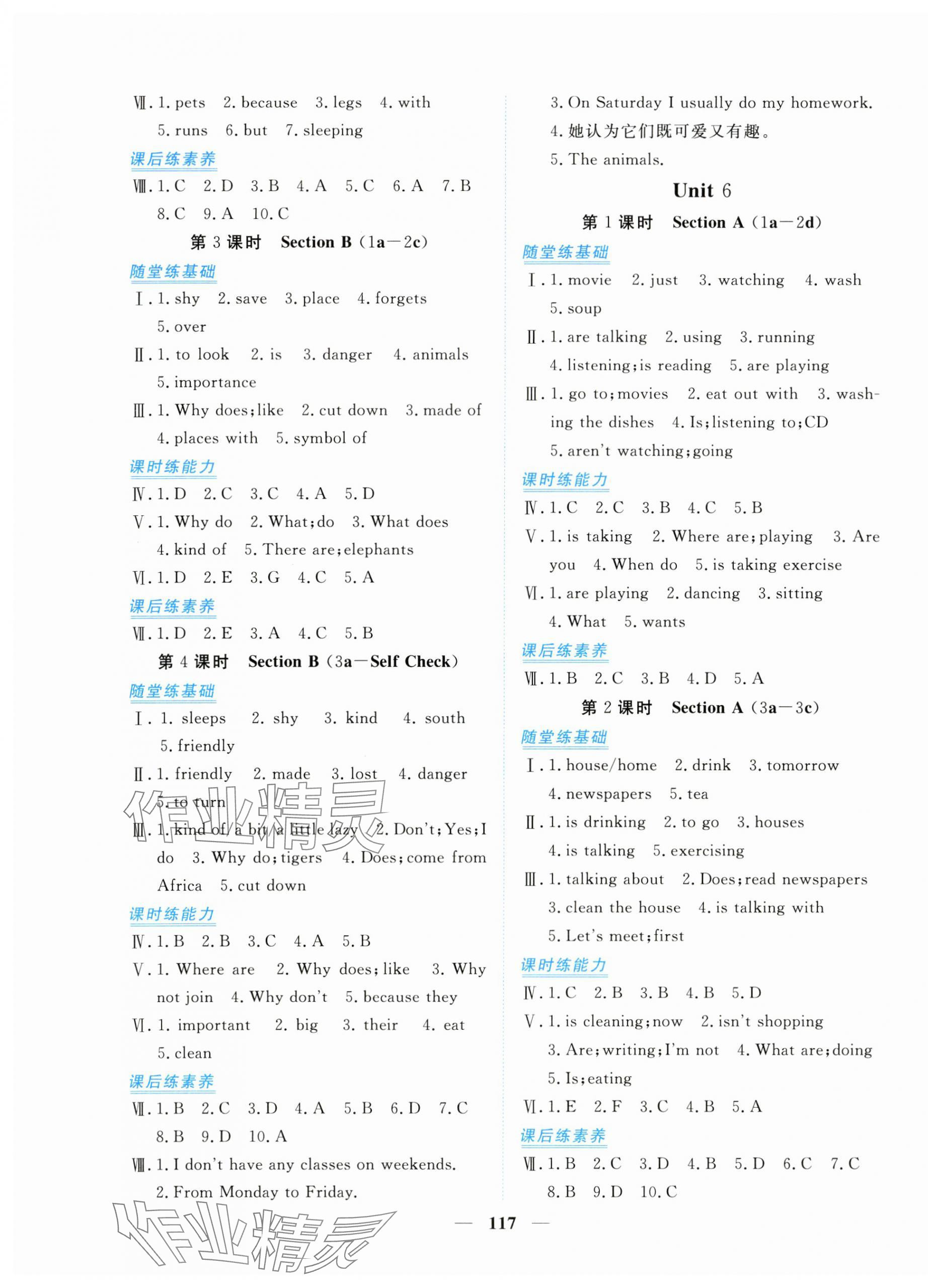 2024年新坐標同步練習七年級英語下冊人教版青海專用 第5頁