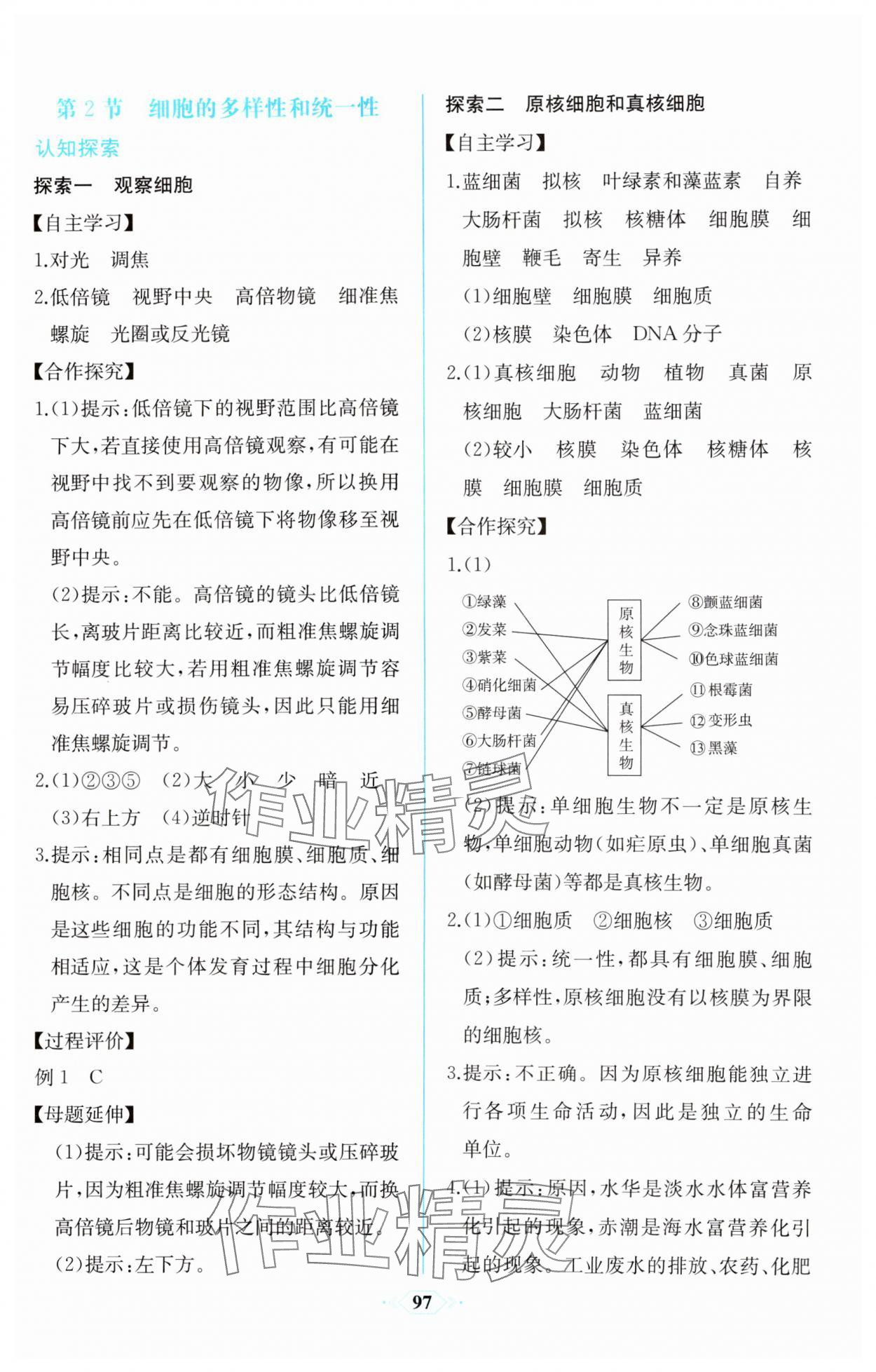 2023年课时练新课程学习评价方案生物必修1分子与细胞增强版 第3页