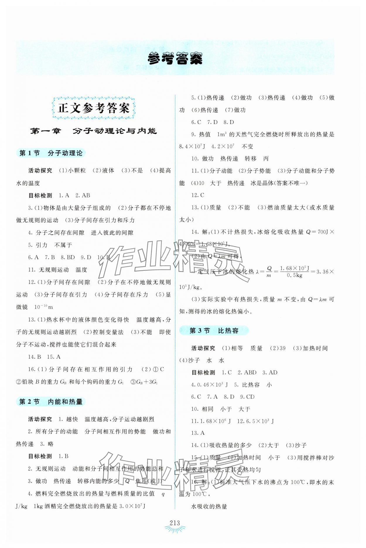 2023年學(xué)生活動手冊九年級物理上冊教科版 第1頁