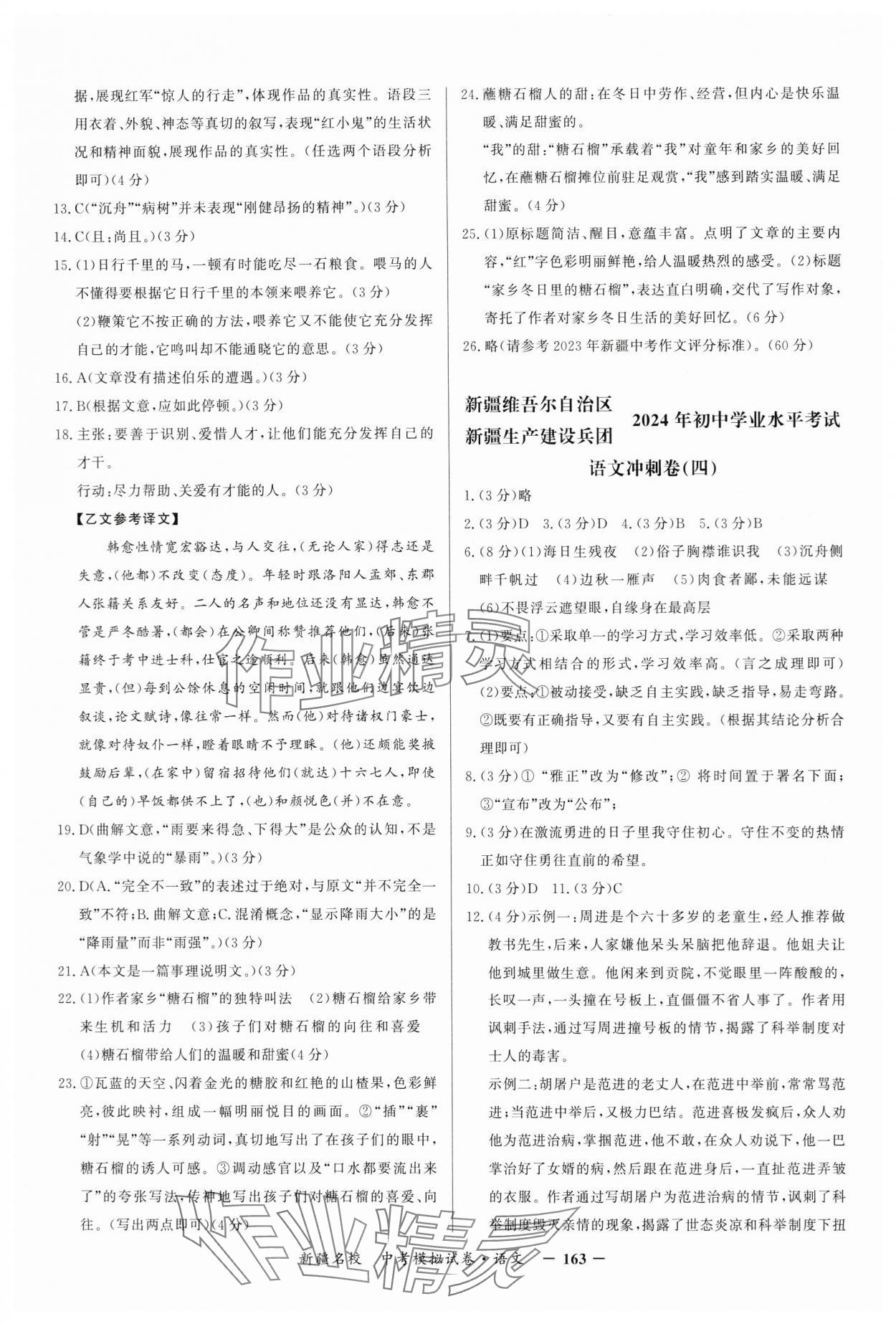 2024年新疆名校中考模擬試卷語文 第3頁