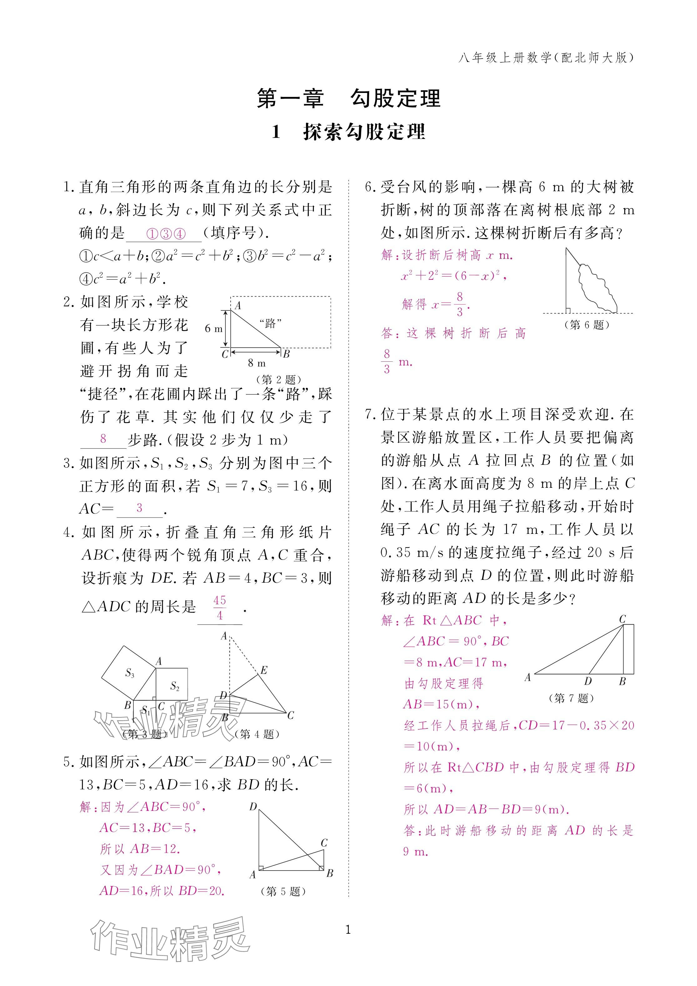 2024年作業(yè)本江西教育出版社八年級數(shù)學(xué)上冊北師大版 第1頁