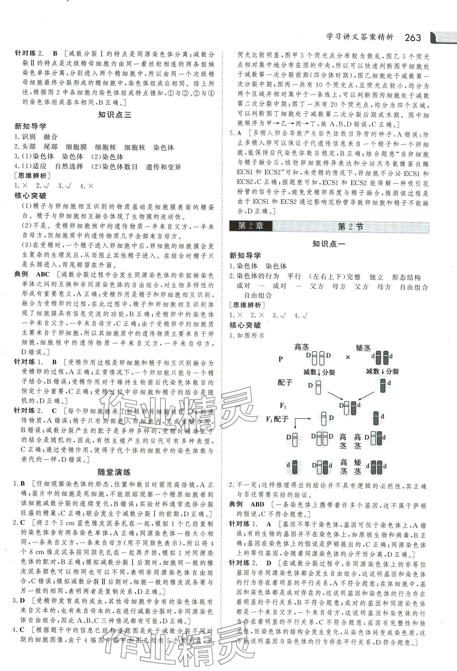 2024年金版新学案高中生物必修2人教版 第10页