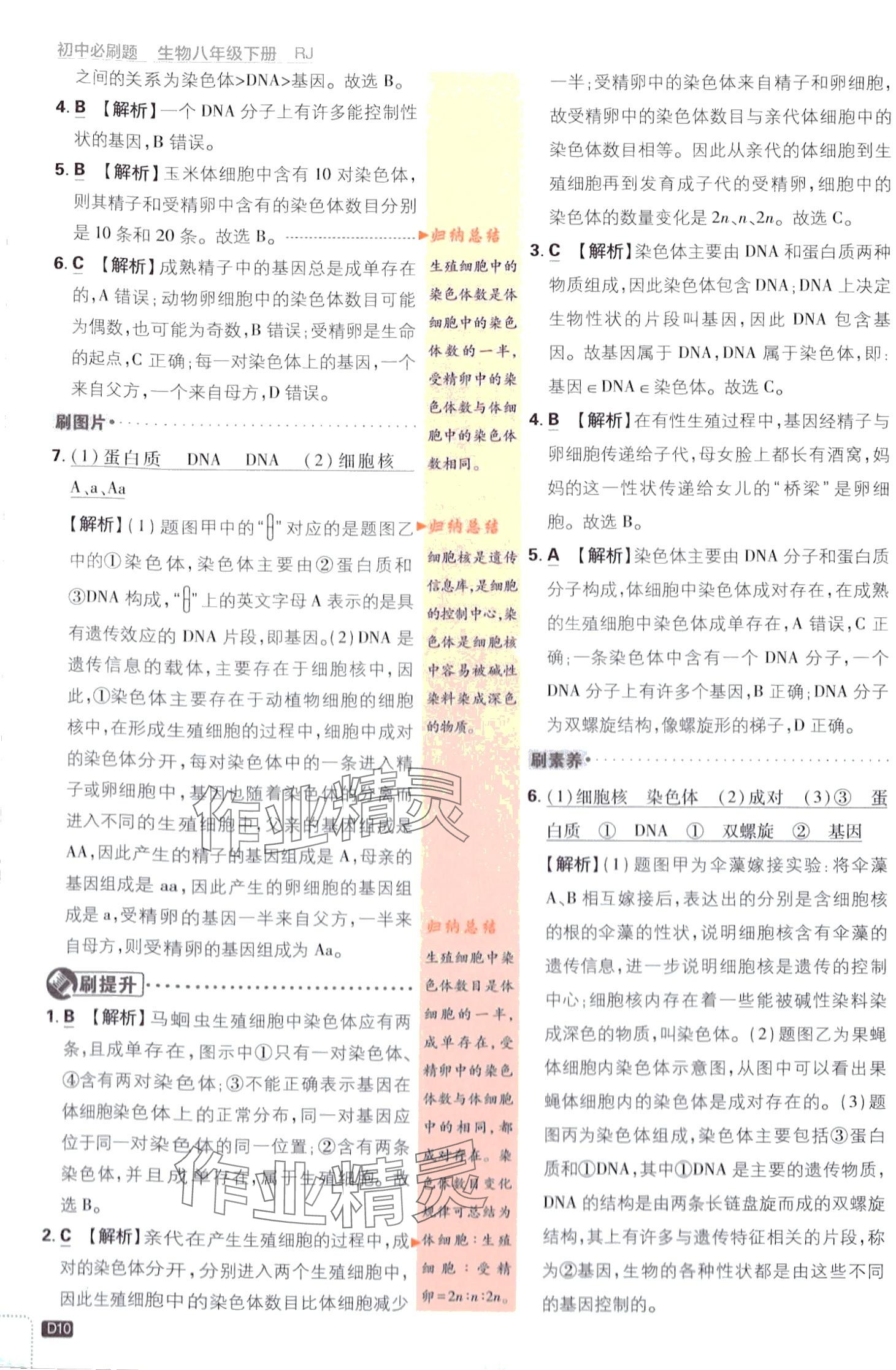 2024年初中必刷題八年級生物下冊人教版 第10頁