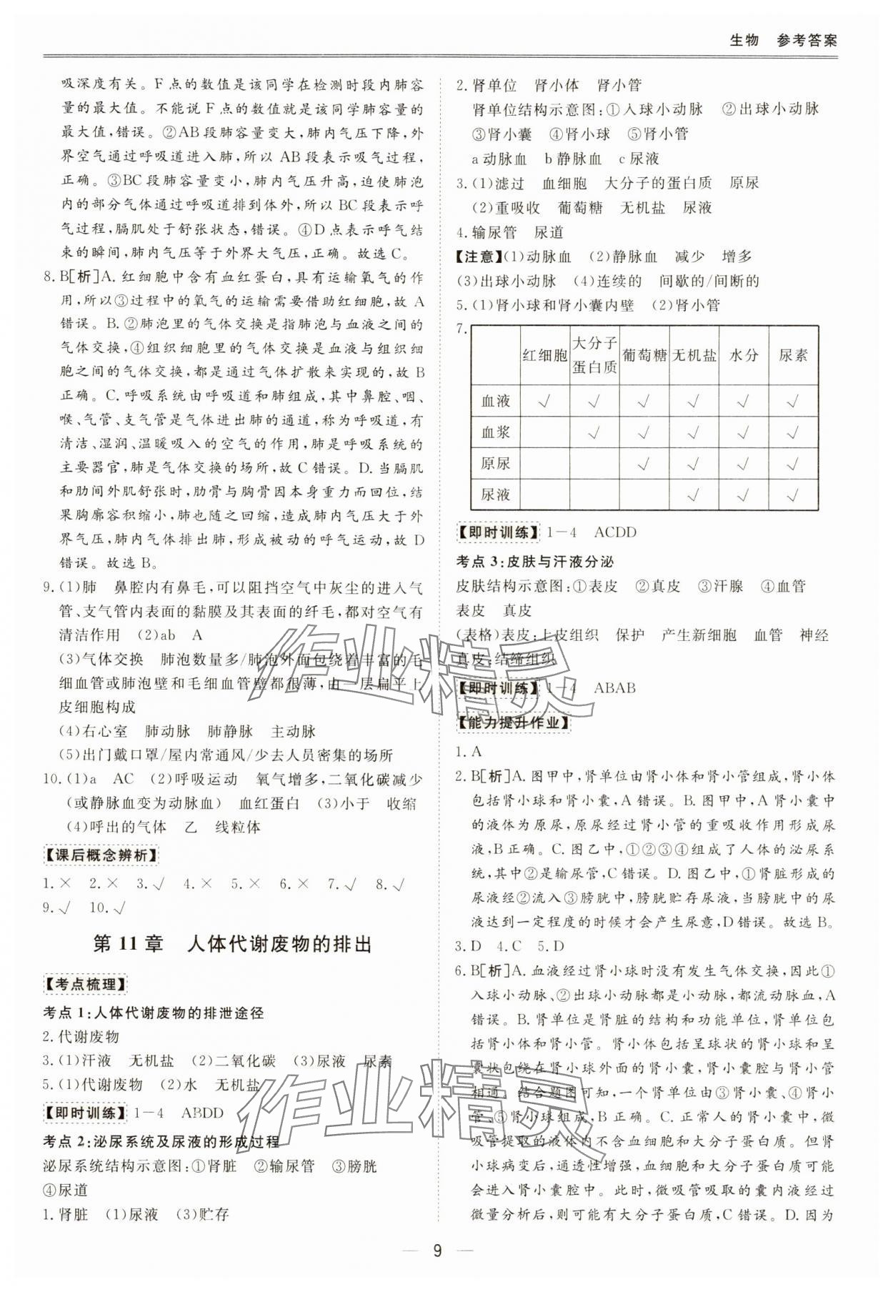 2024年新课标中考宝典生物广东专版 参考答案第9页