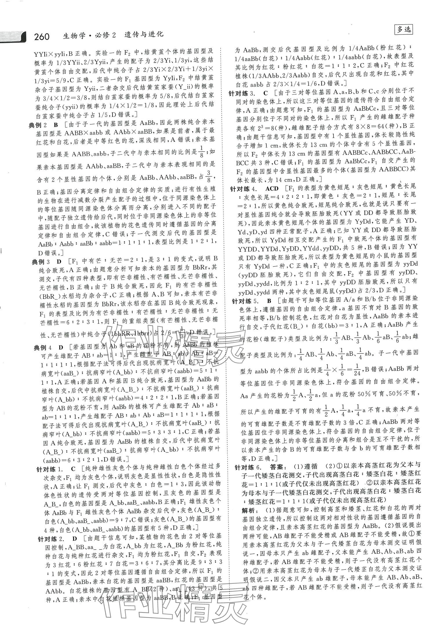 2024年金版新学案高中生物必修2人教版 第7页