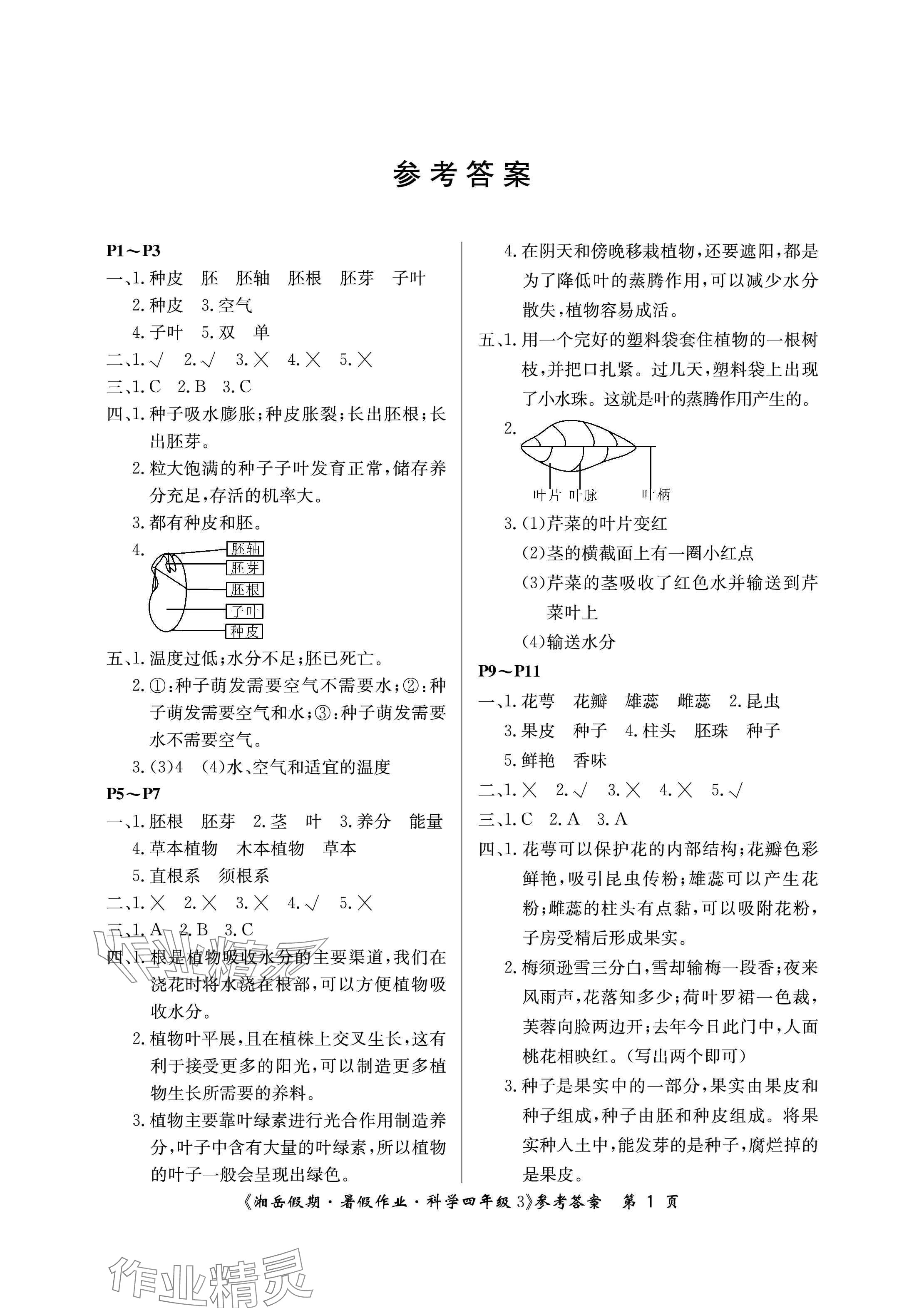 2024年湘岳假期暑假作业四年级科学教科版第三版 参考答案第1页