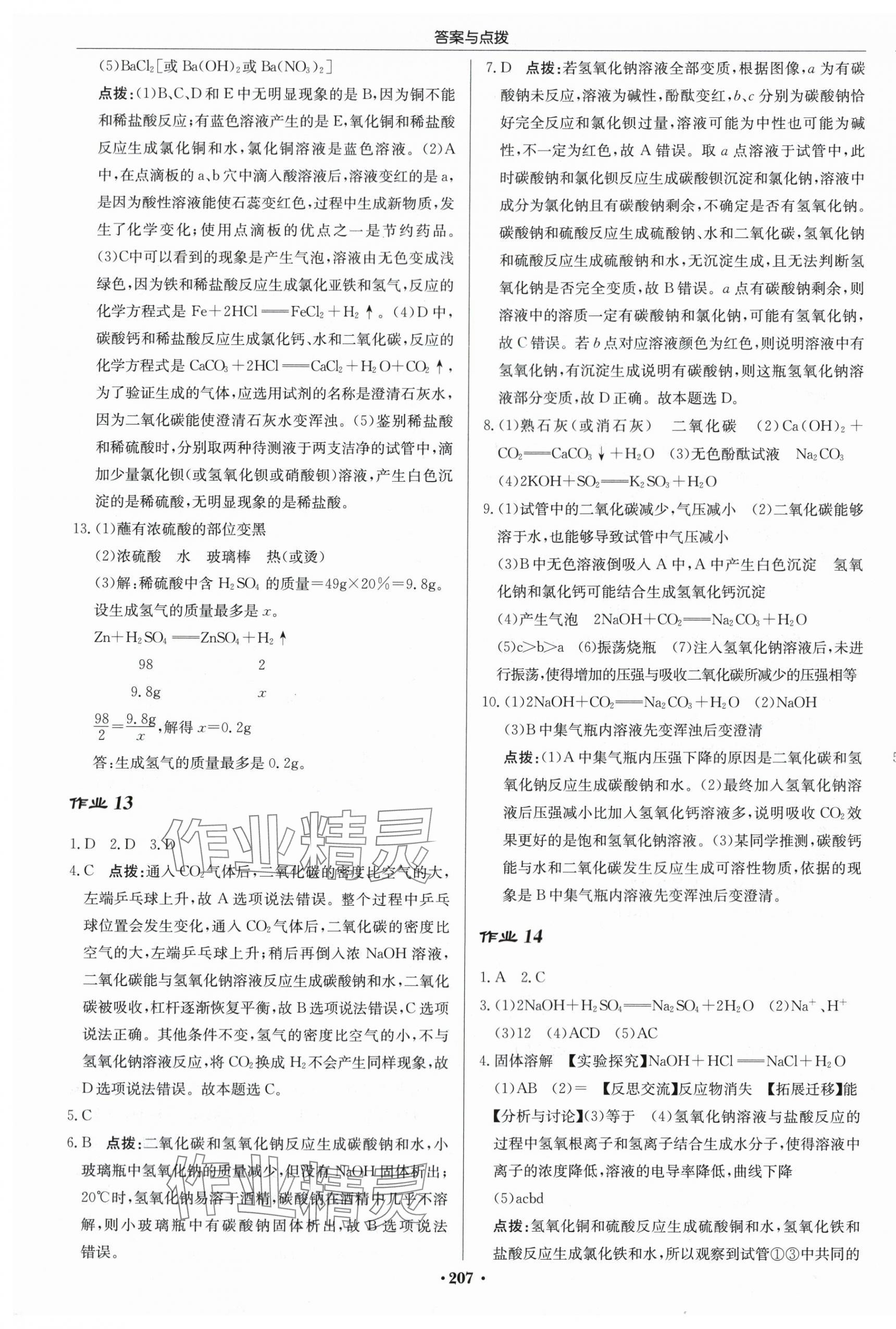 2024年启东中学作业本九年级化学下册沪教版苏北专版 第9页