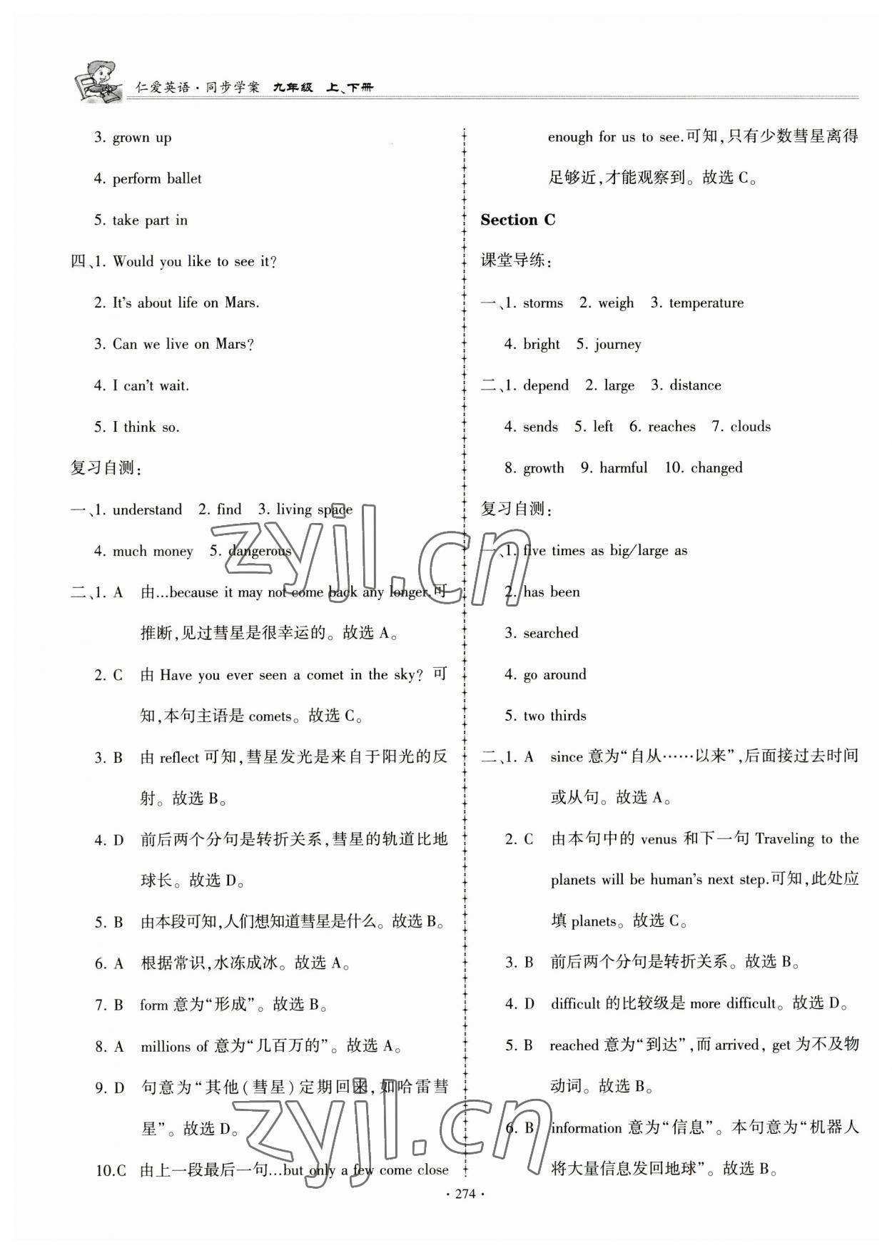 2023年仁爱英语同步学案九年级全一册仁爱版 第31页