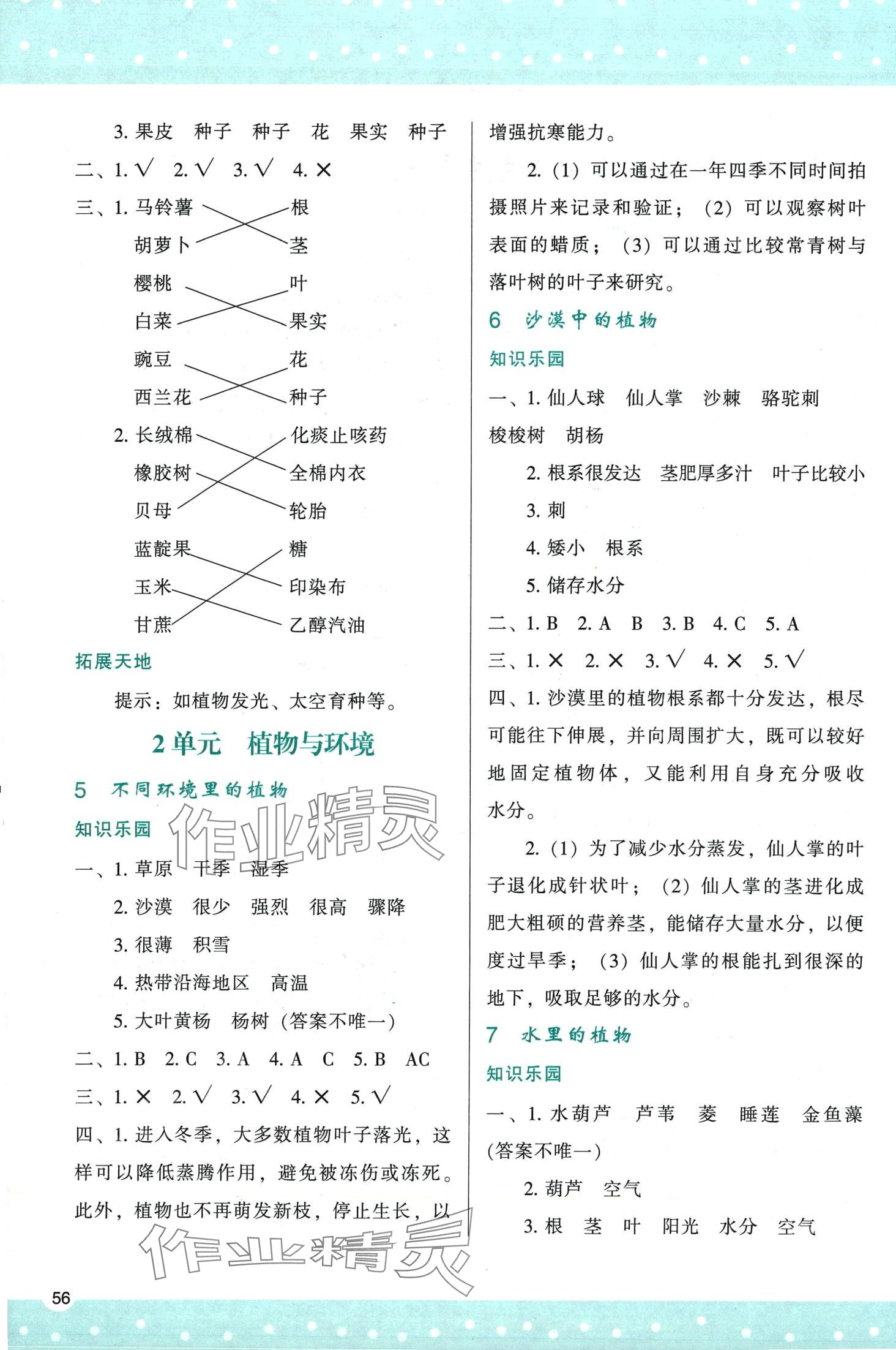 2024年新課程學習與評價三年級科學下冊蘇教版 第2頁