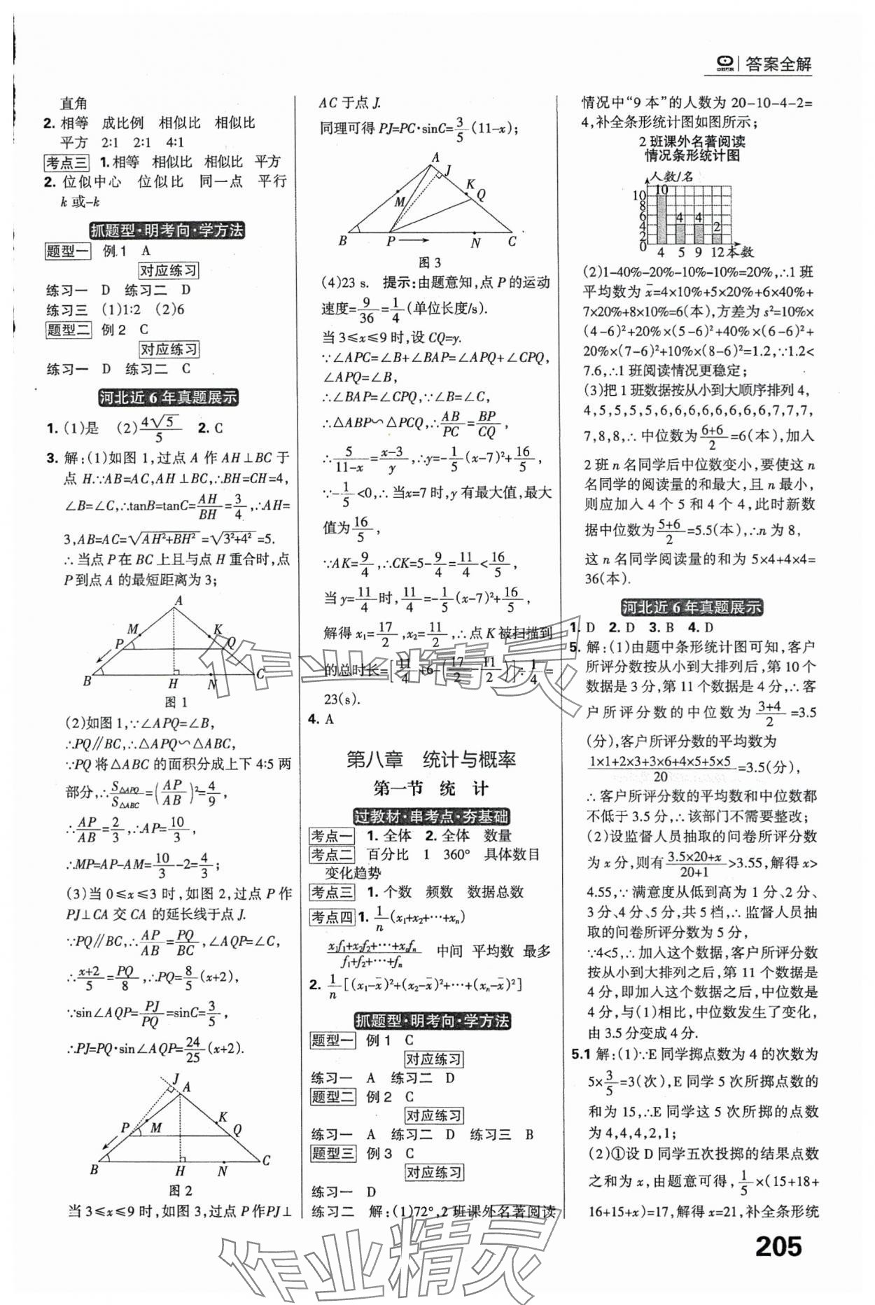 2024年全優(yōu)中考系統(tǒng)總復(fù)習(xí)數(shù)學(xué)河北專用 參考答案第19頁(yè)