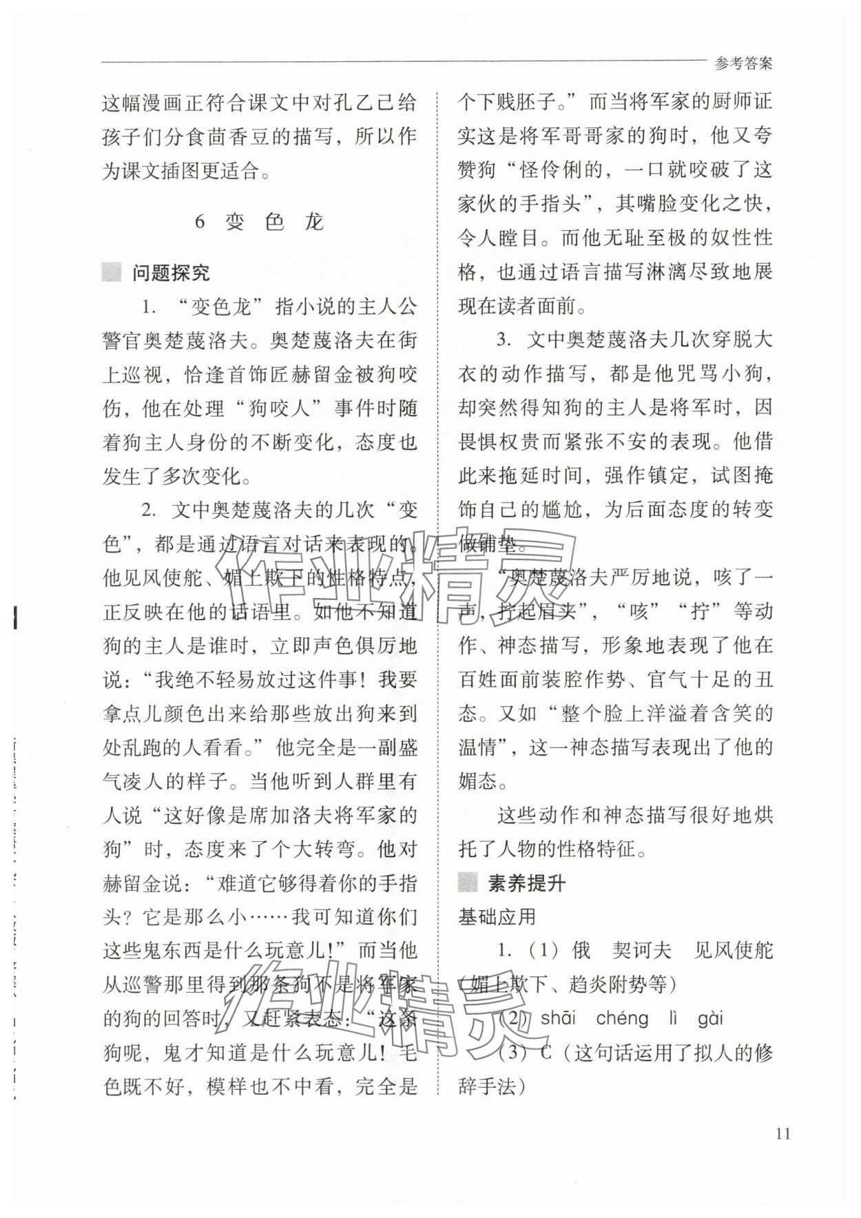 2024年新课程问题解决导学方案九年级语文下册人教版 参考答案第11页