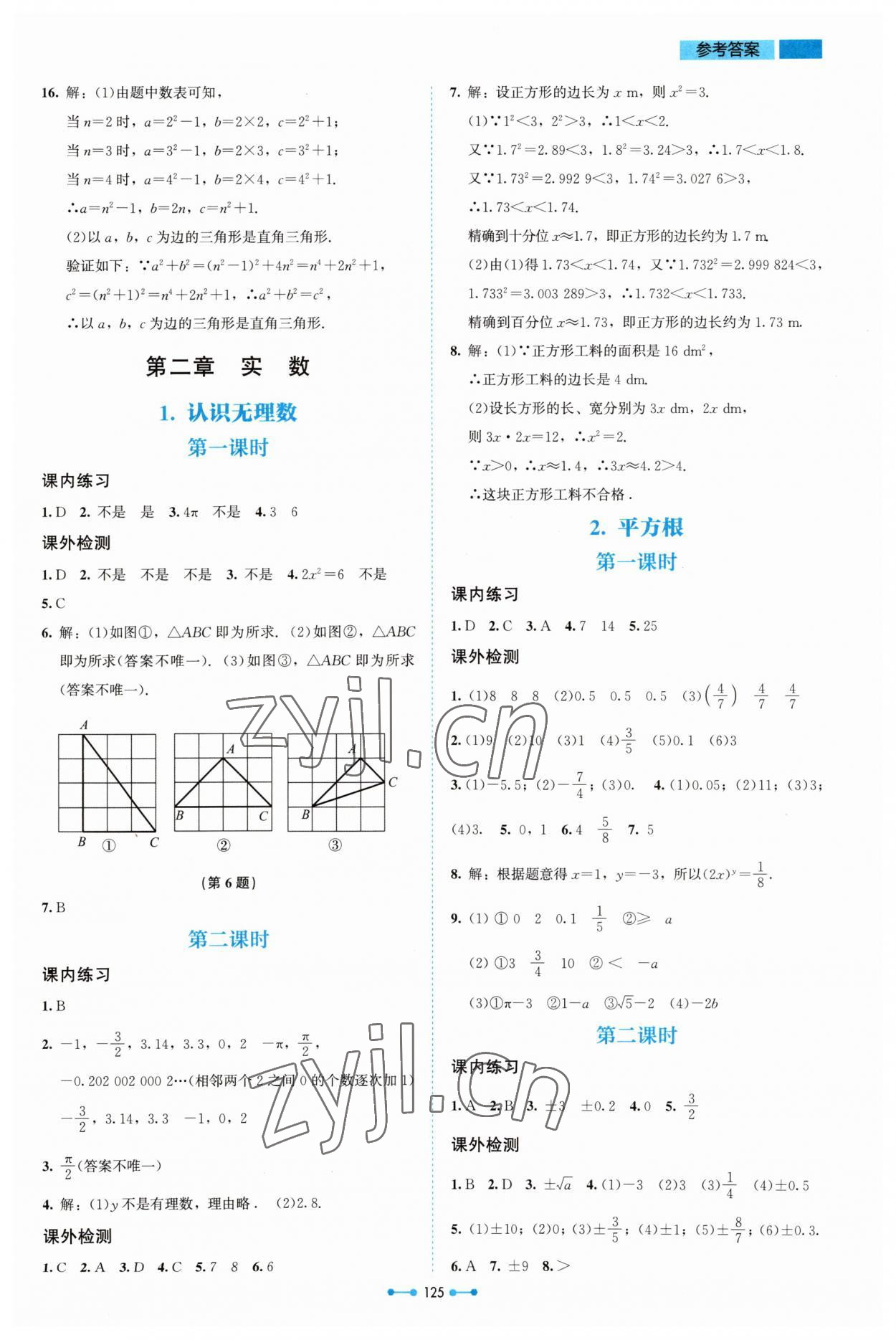 2023年伴你学北京师范大学出版社八年级数学上册北师大版 第3页