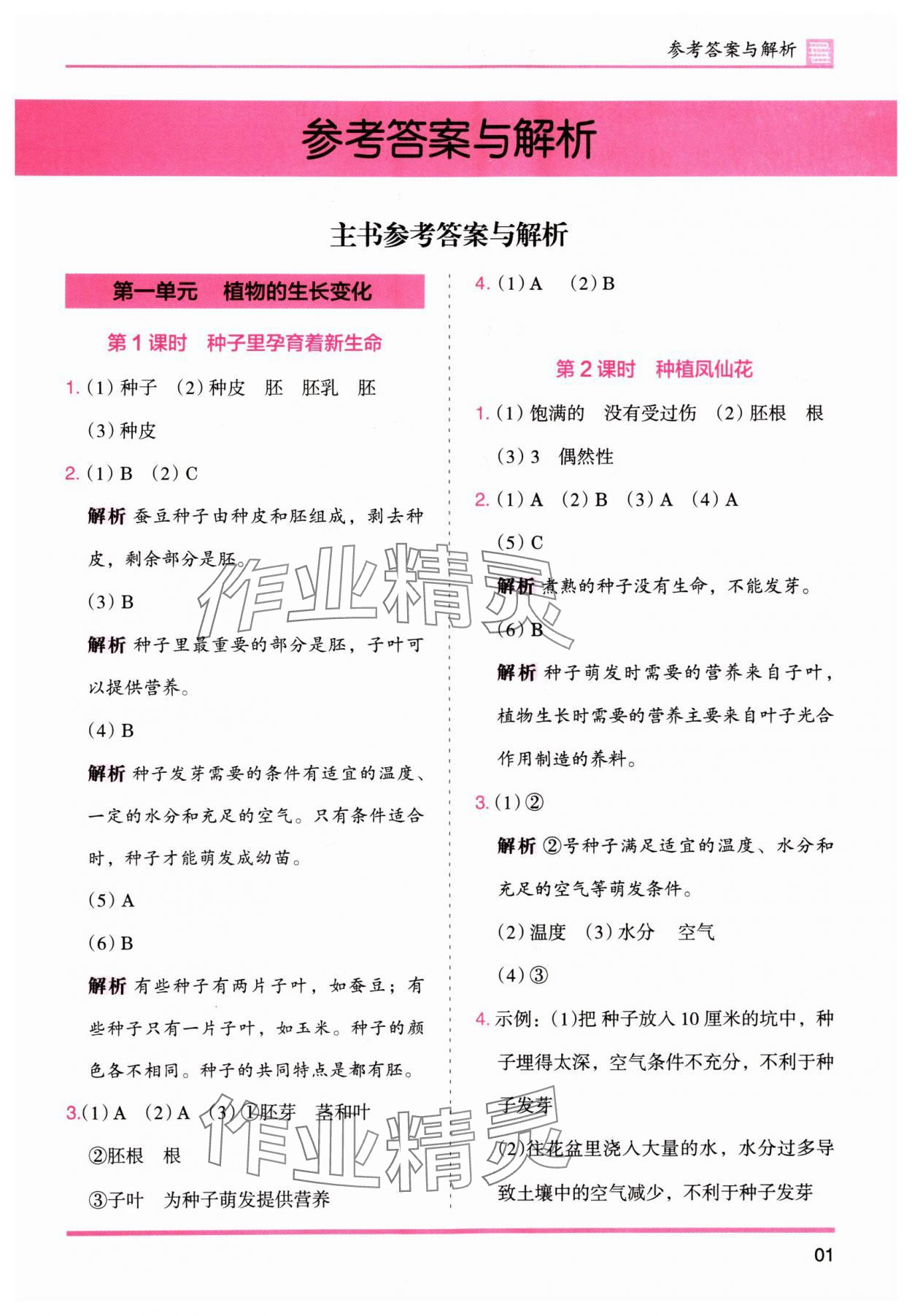 2024年木頭馬分層課課練四年級(jí)科學(xué)下冊(cè)教科版 參考答案第1頁(yè)