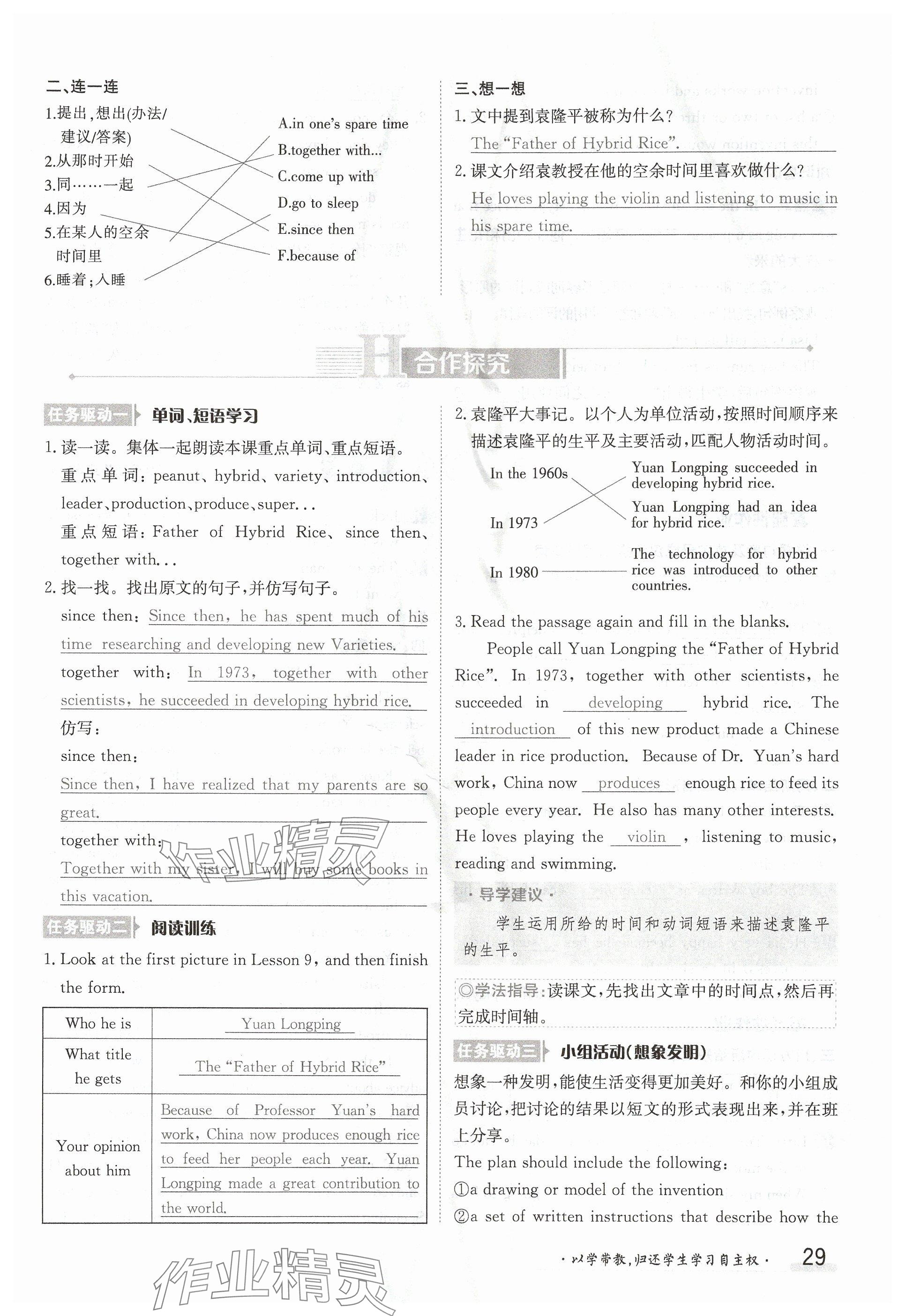 2024年金太陽導學案九年級英語全一冊冀教版 參考答案第29頁