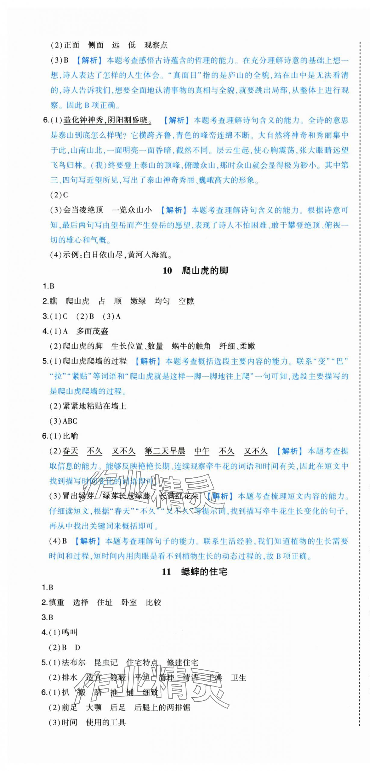 2024年黃岡狀元成才路狀元作業(yè)本四年級語文上冊人教版 第7頁