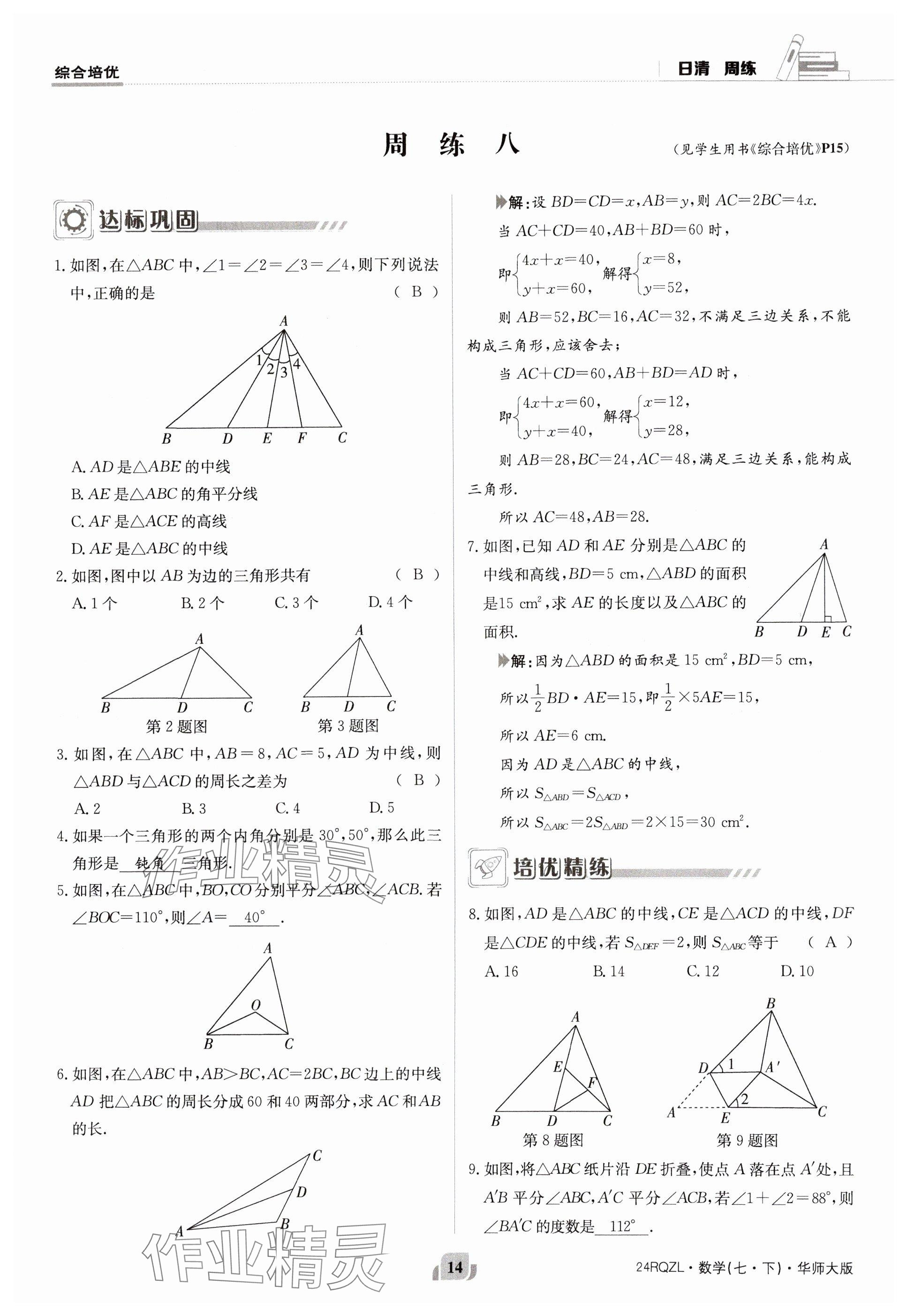 2024年日清周練七年級數(shù)學(xué)下冊華師大版 參考答案第14頁