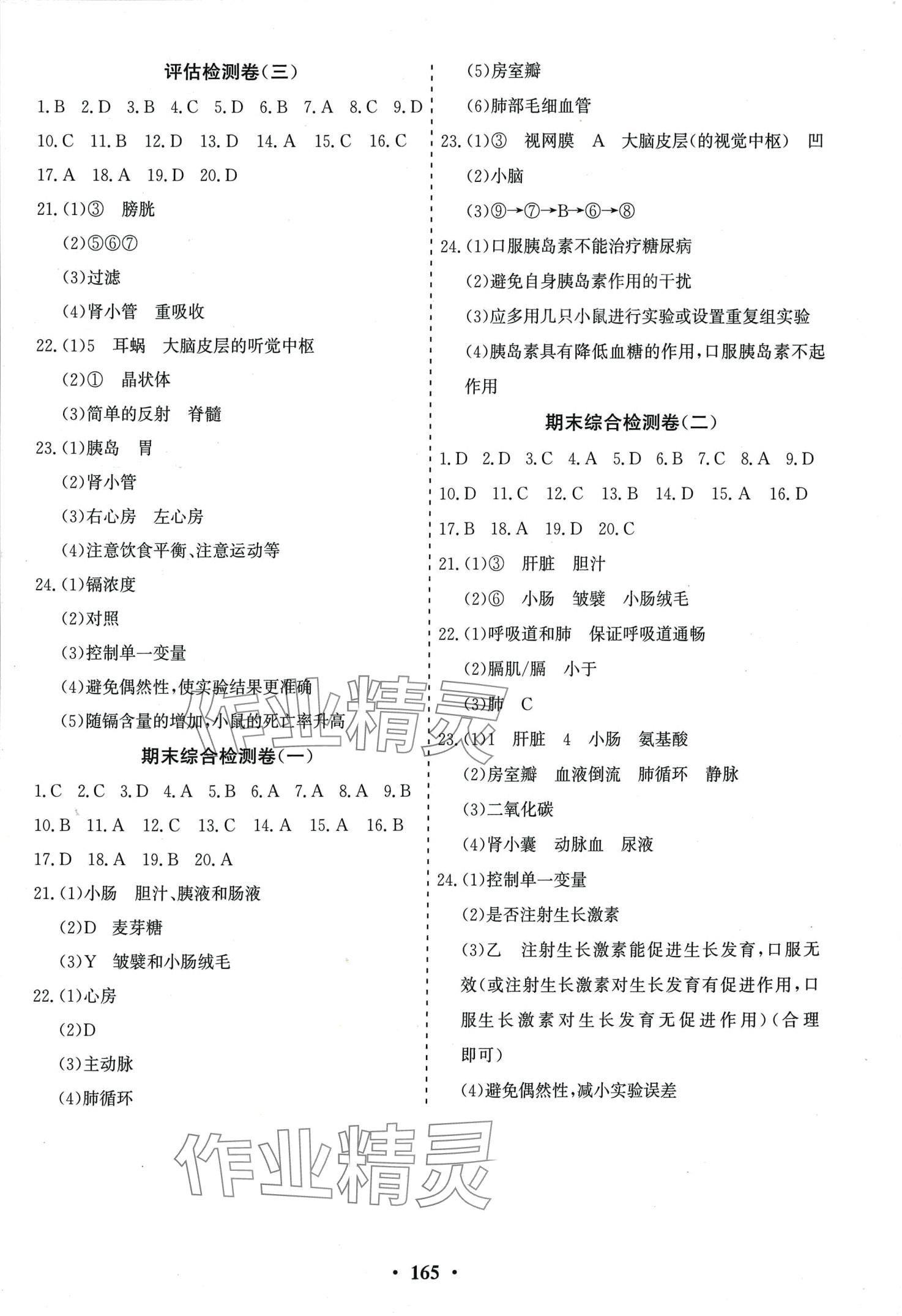 2024年初中知識與能力測試卷七年級生物下冊人教版 第2頁