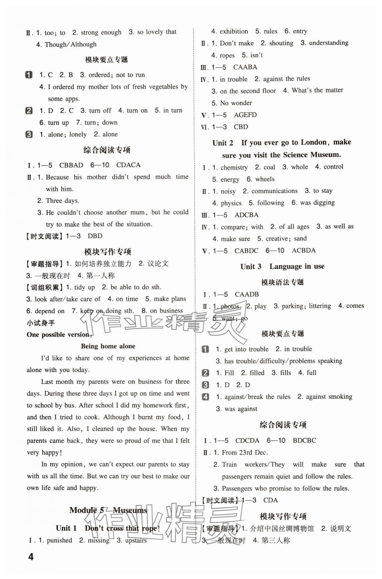 2024年一本同步訓(xùn)練九年級(jí)初中英語上冊(cè)外研版 第4頁