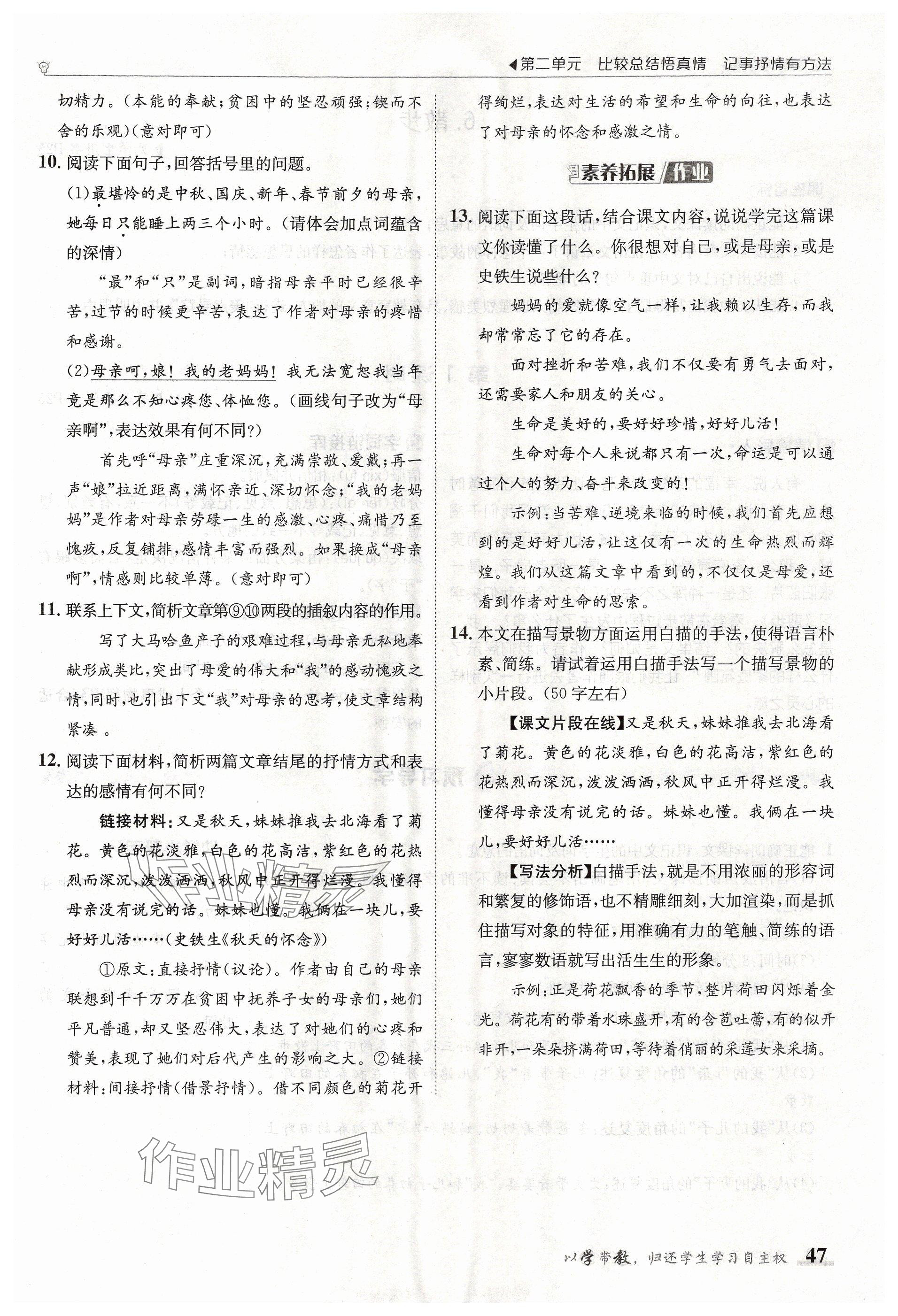 2024年金太陽導學案七年級語文上冊人教版 參考答案第47頁