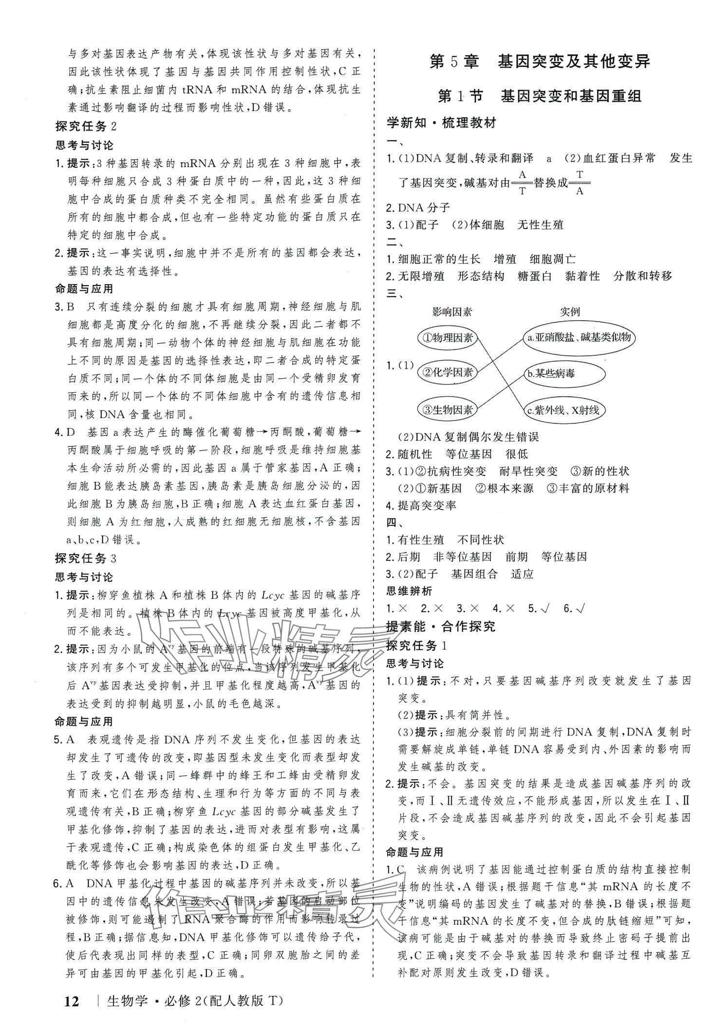 2024年高考领航高中生物必修2人教版 第12页