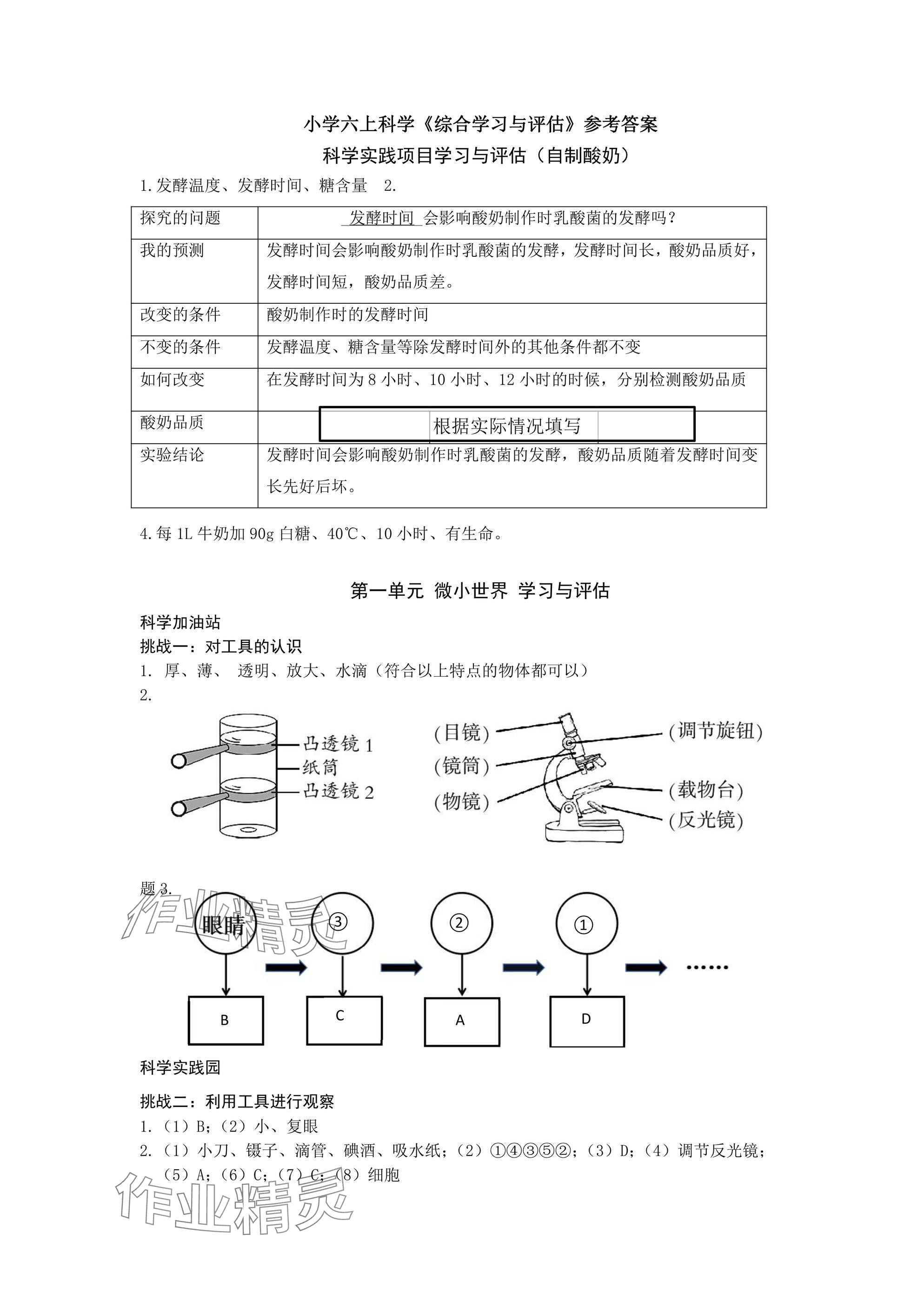 2024年綜合學(xué)習(xí)與評估六年級科學(xué)上冊教科版 參考答案第1頁